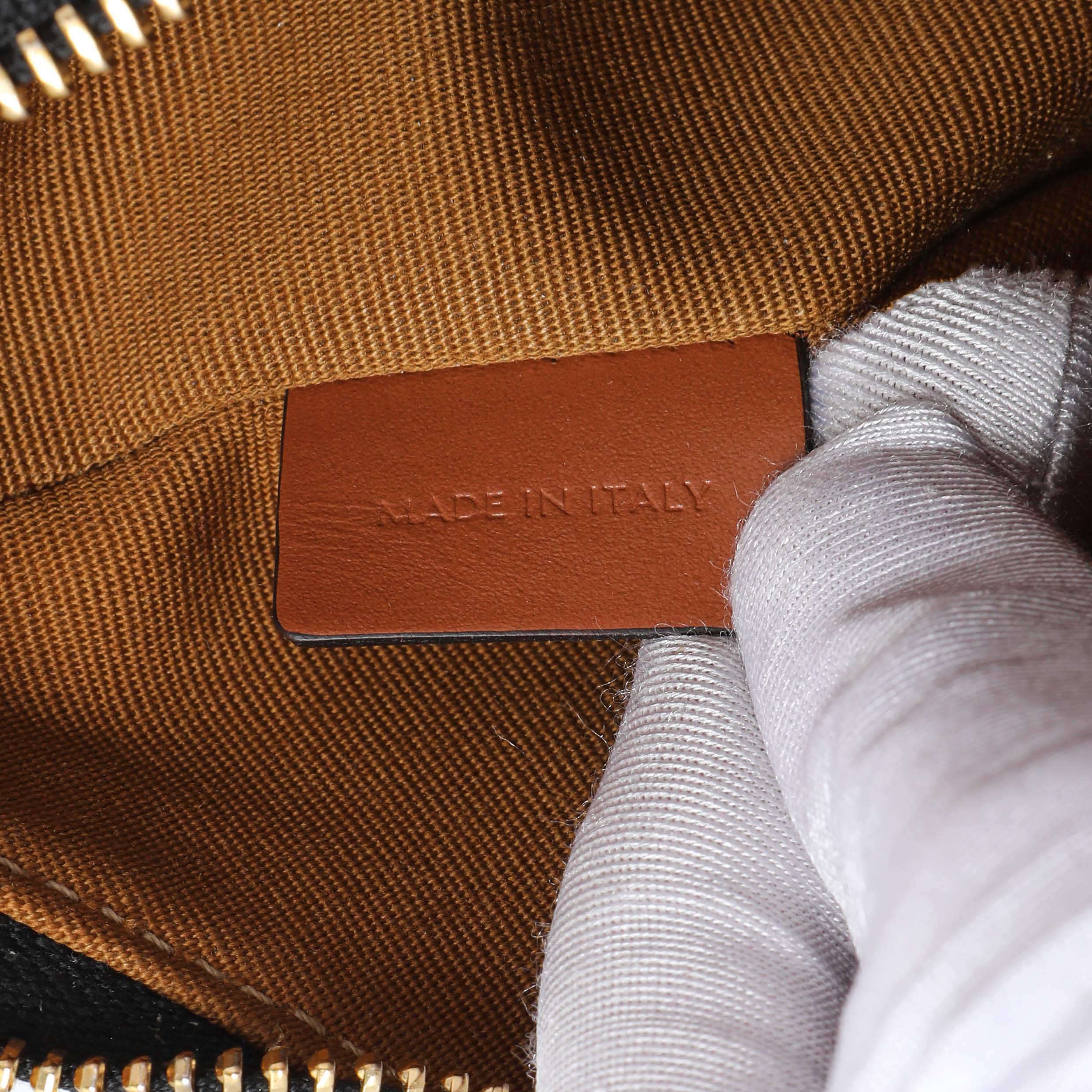 Celine Triomphe Canvas Calfskin Ava Shoulder Bag - Image 7