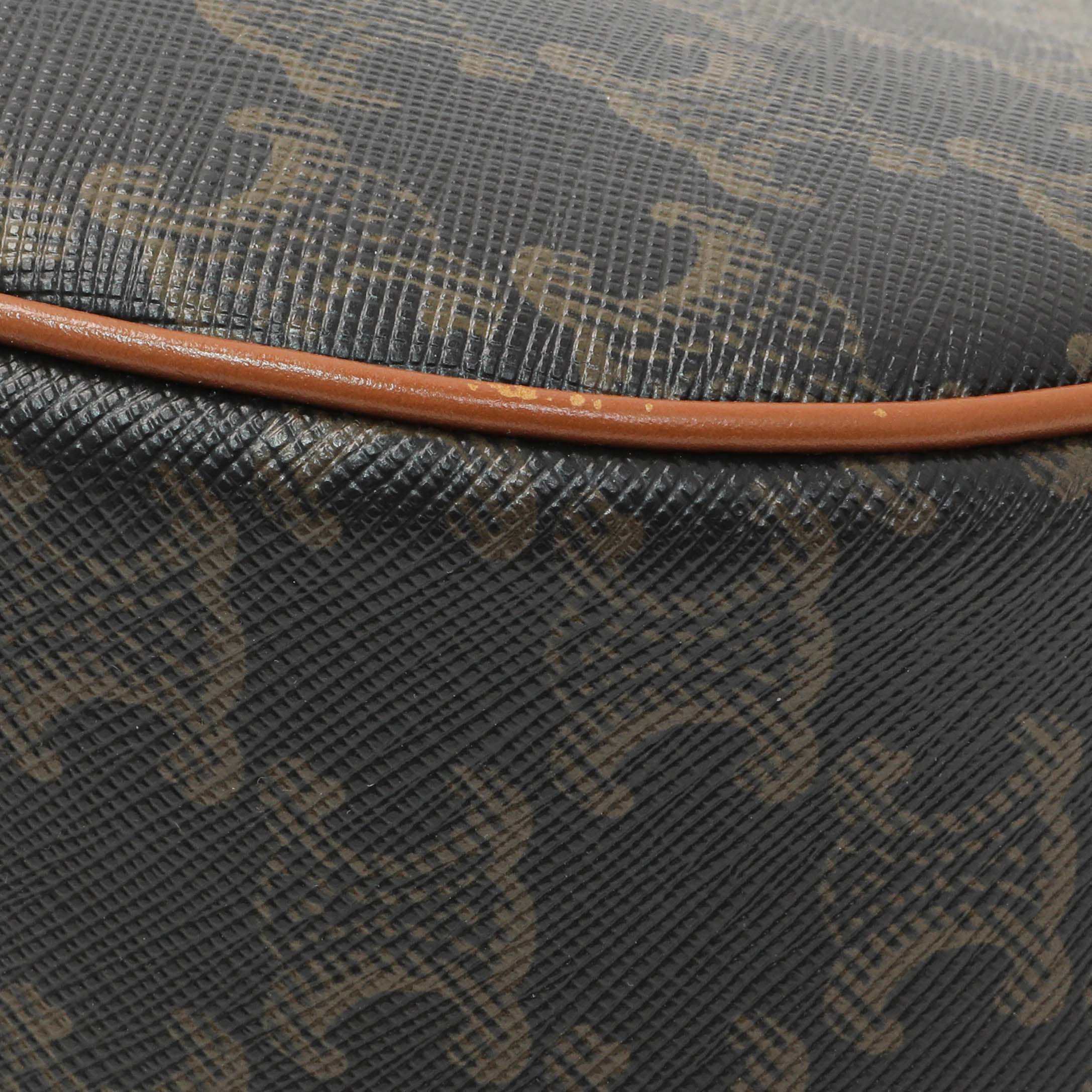 Celine Triomphe Canvas Calfskin Ava Shoulder Bag - Image 8