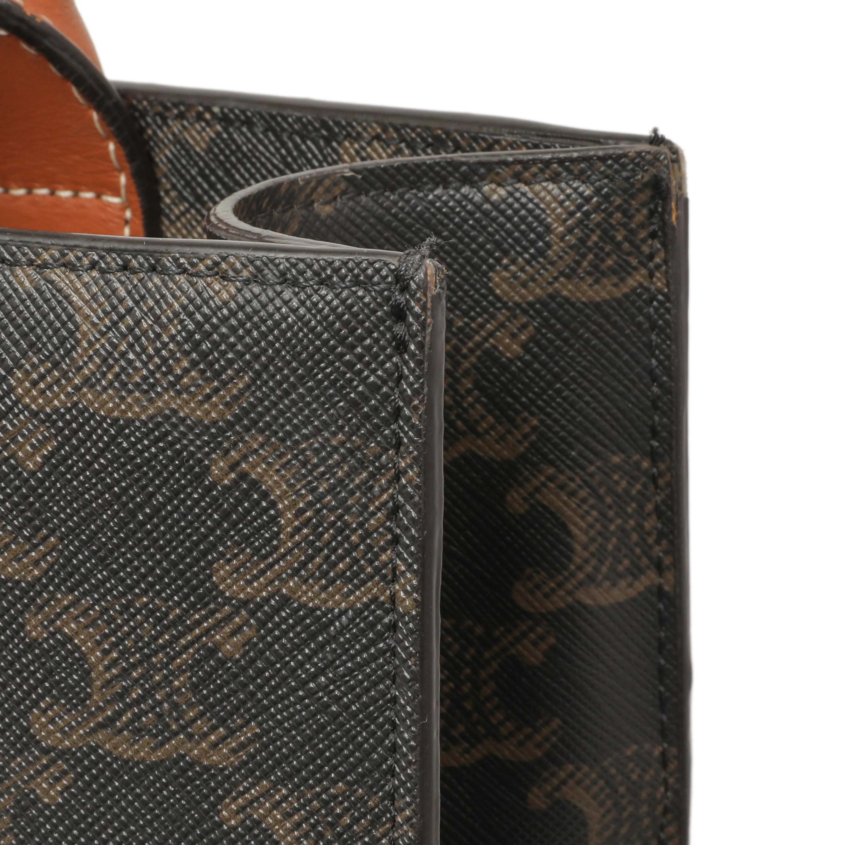Celine Triomphe Canvas Small Vertical Cabas - Image 10