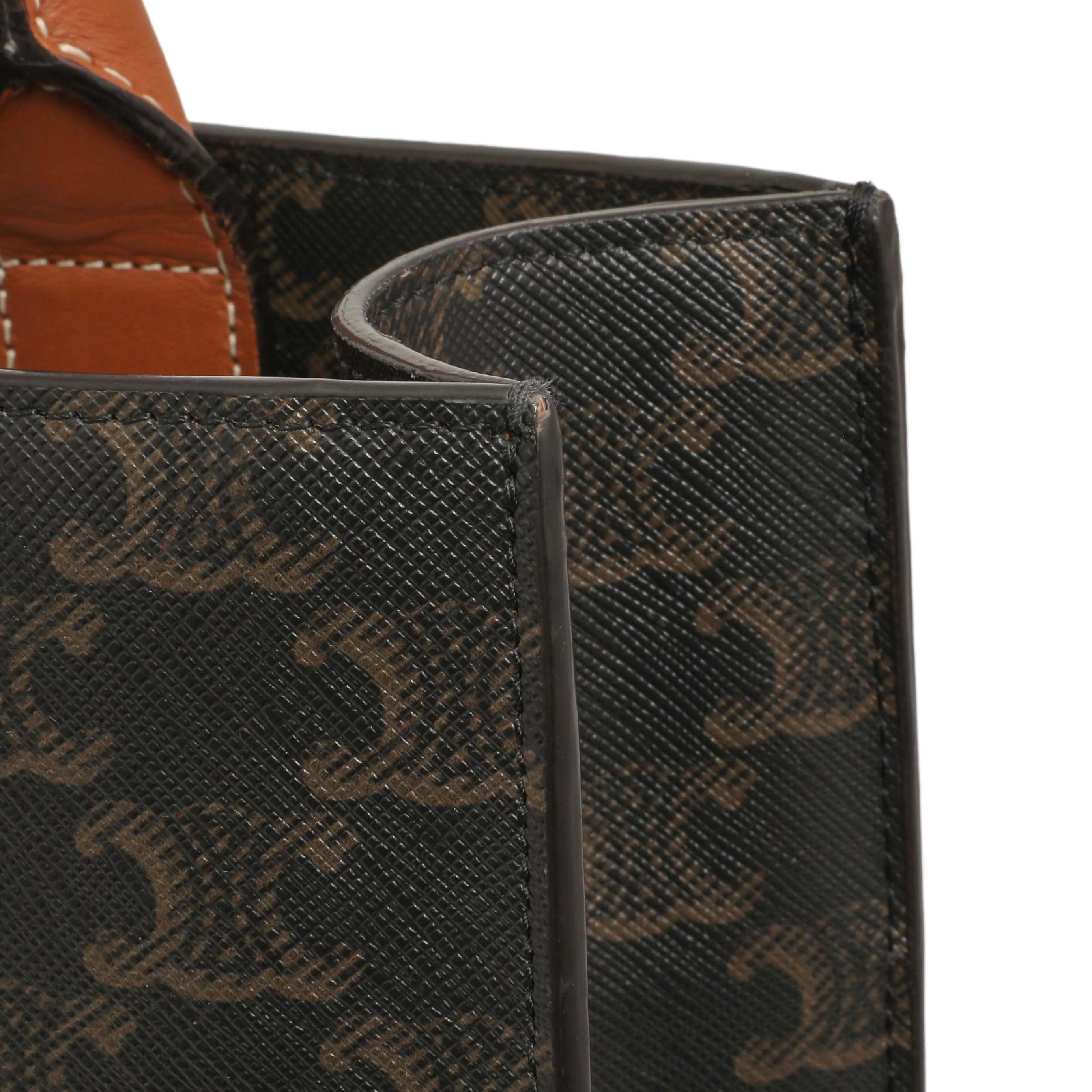 Celine Triomphe Canvas Small Vertical Cabas - Image 11