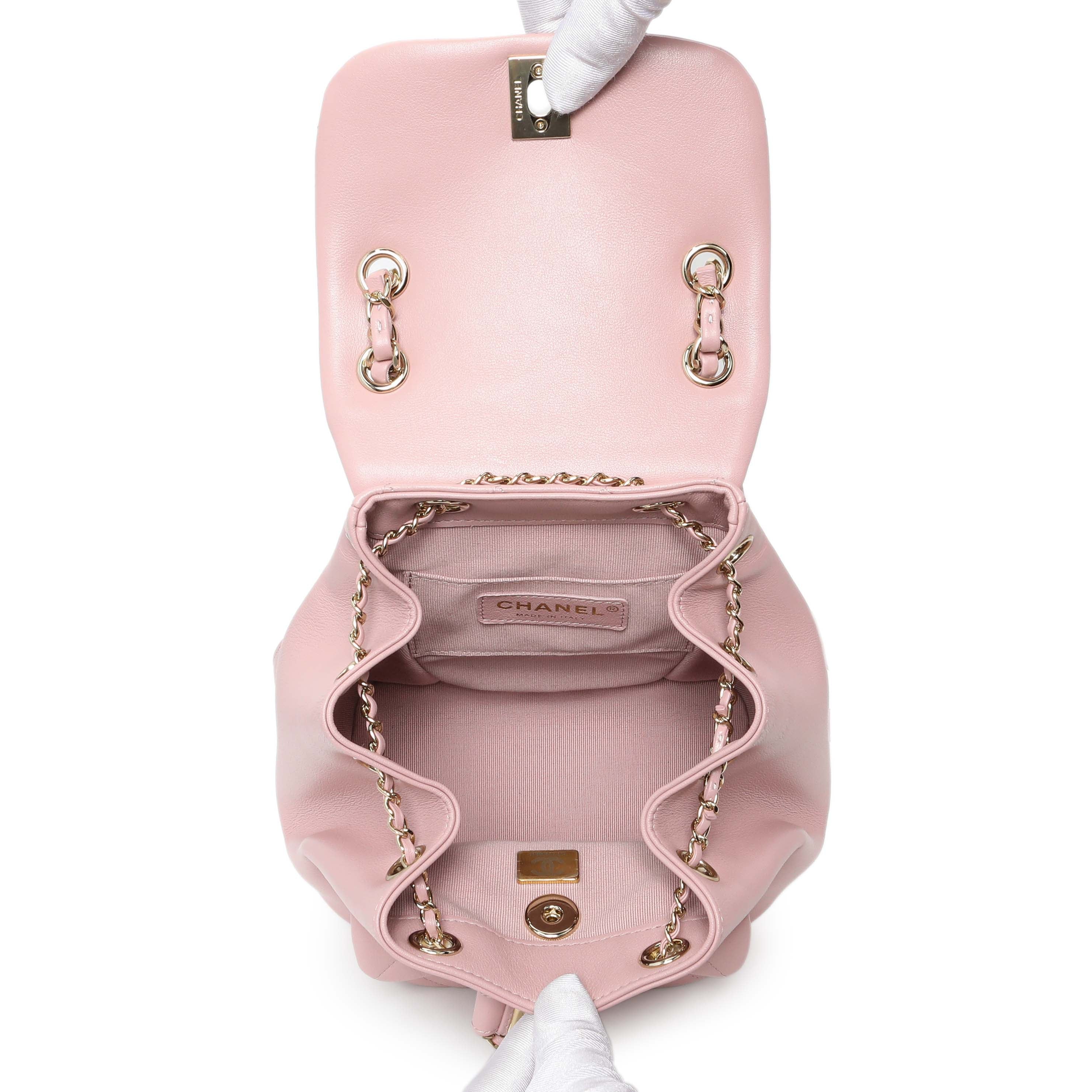 Chanel Light Pink Calfskin Small Duma Backpack - Image 4