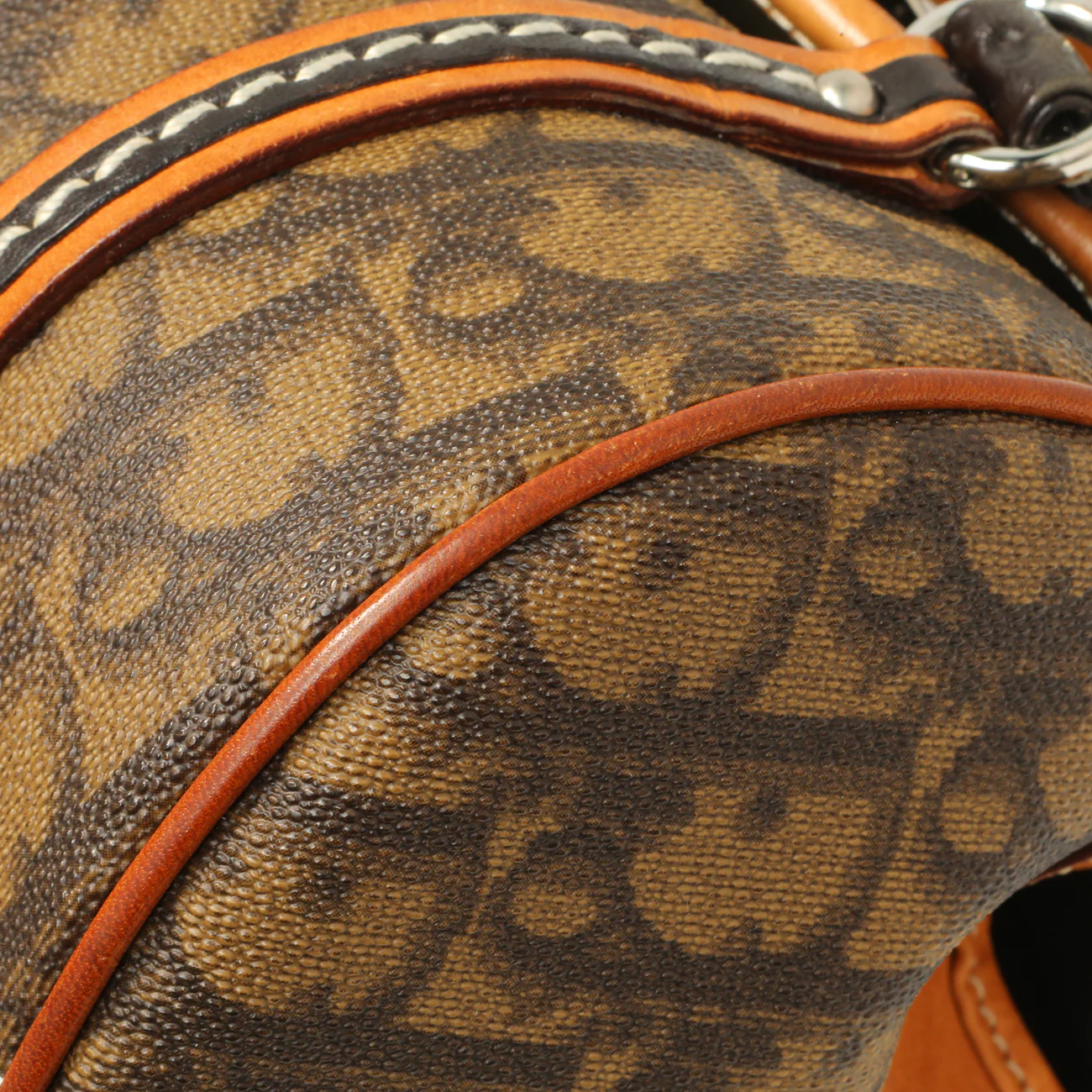 Christian Dior Monogram Romantique Trotter Flap - Image 5