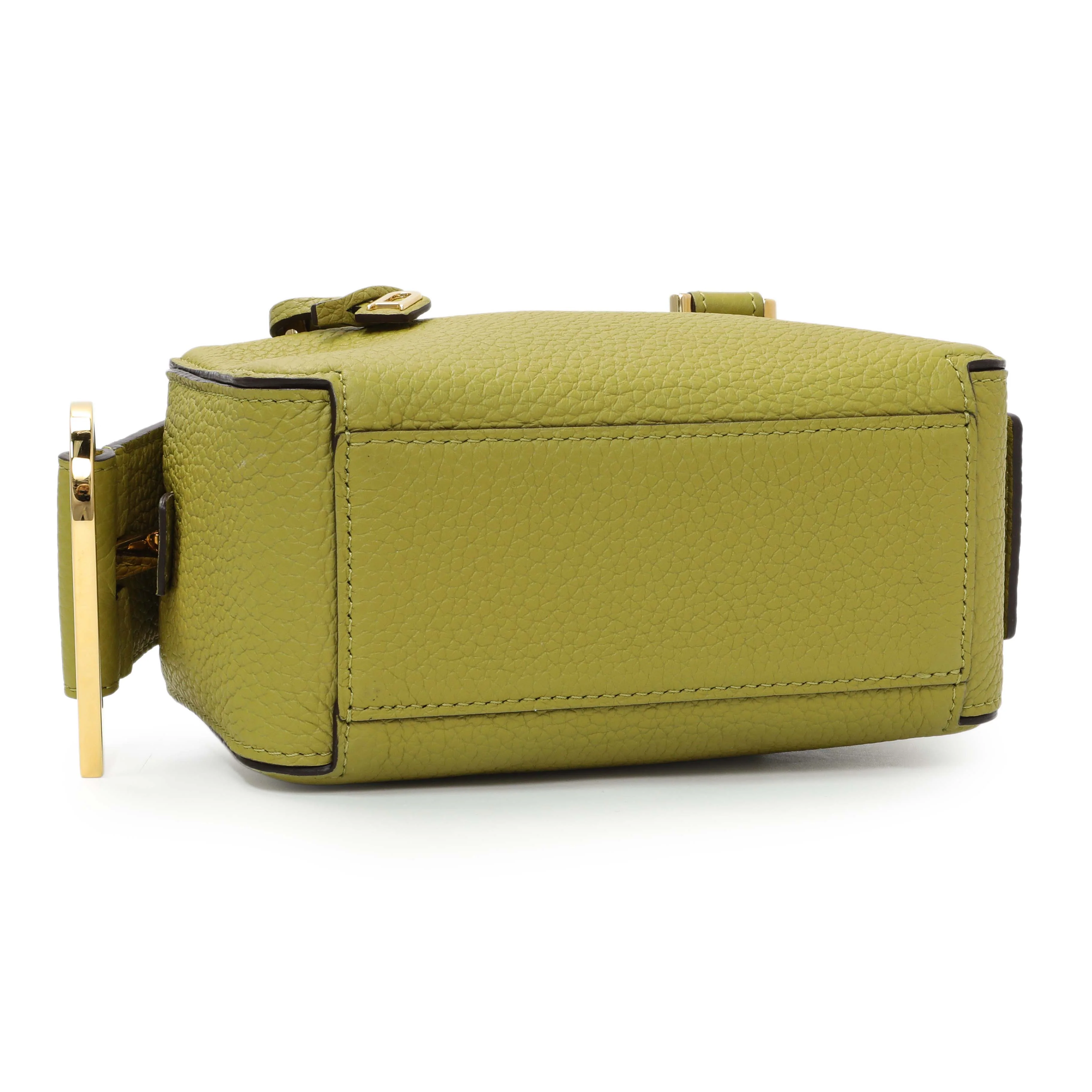 Delvaux Kiwi Taurillon Soft Leather Cool Box Nano - Image 3