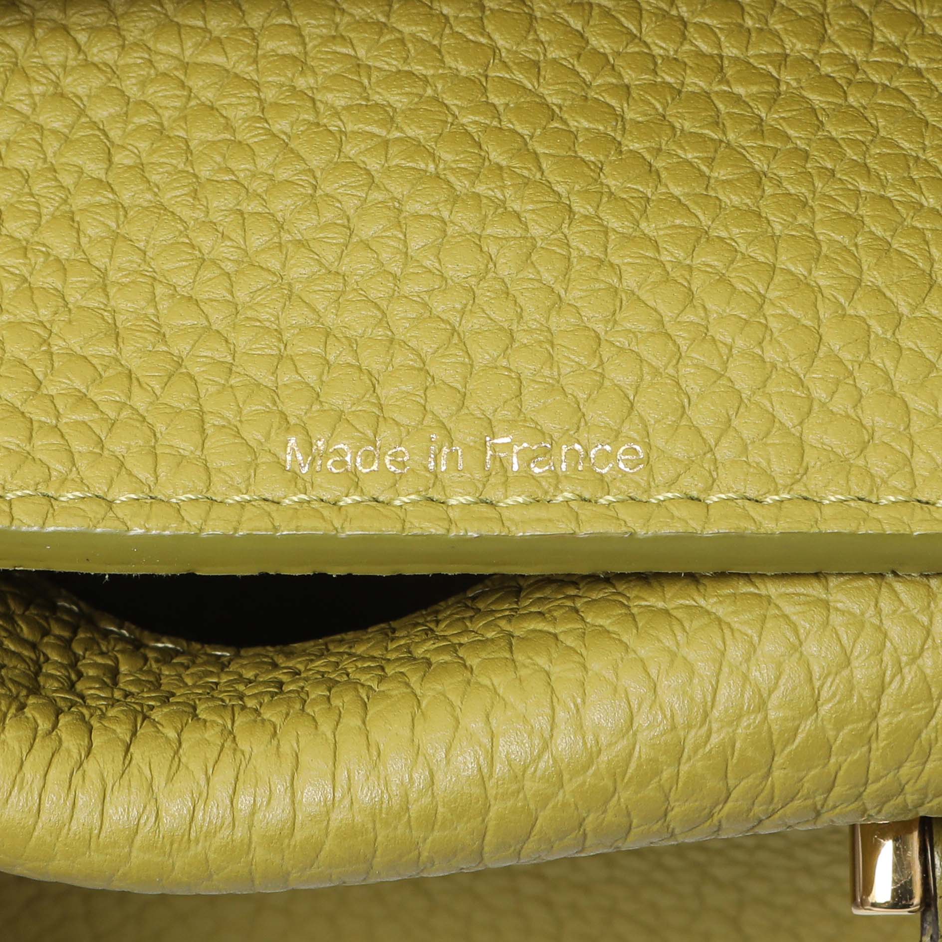 Delvaux Kiwi Taurillon Soft Leather Cool Box Nano - Image 6