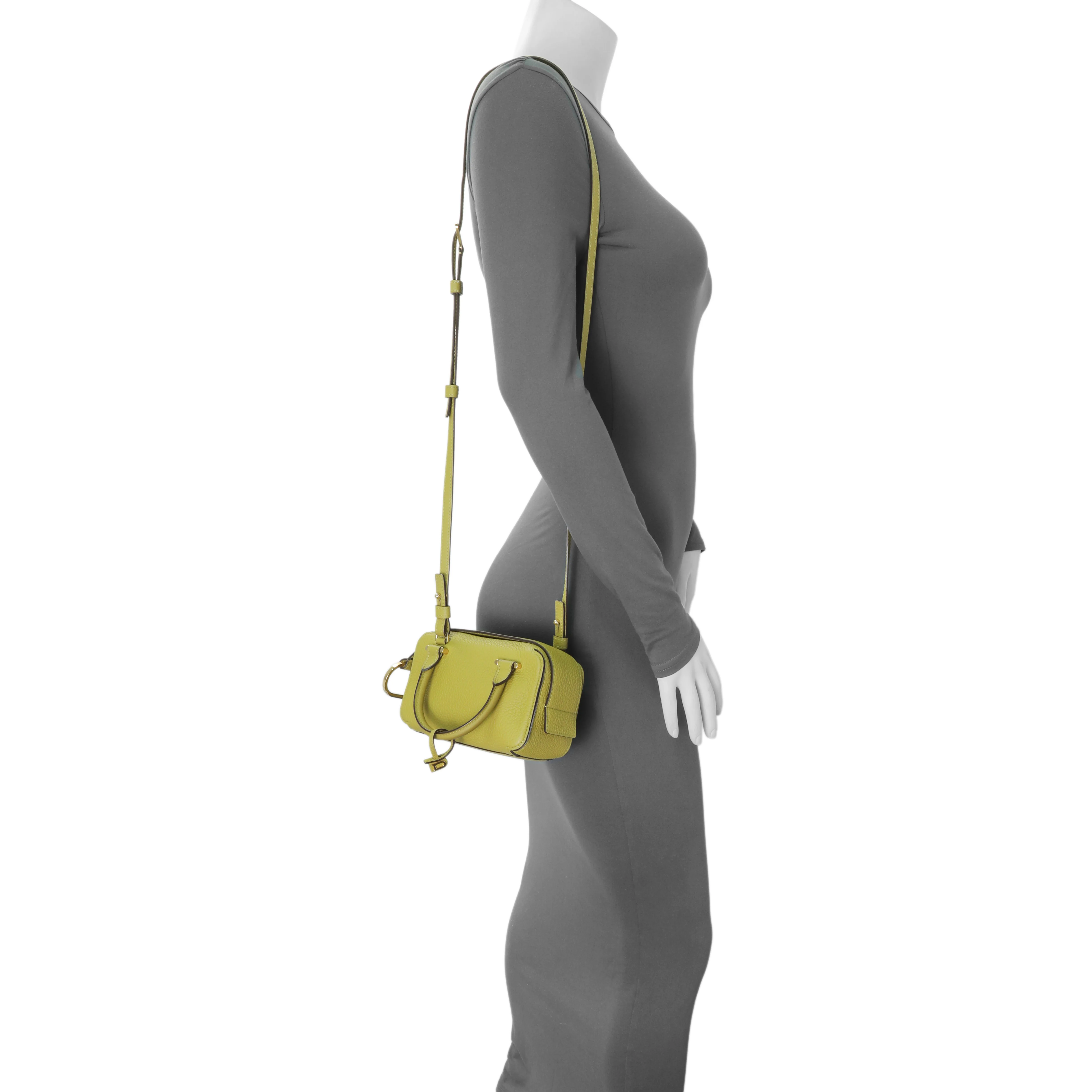 Delvaux Kiwi Taurillon Soft Leather Cool Box Nano - Image 7