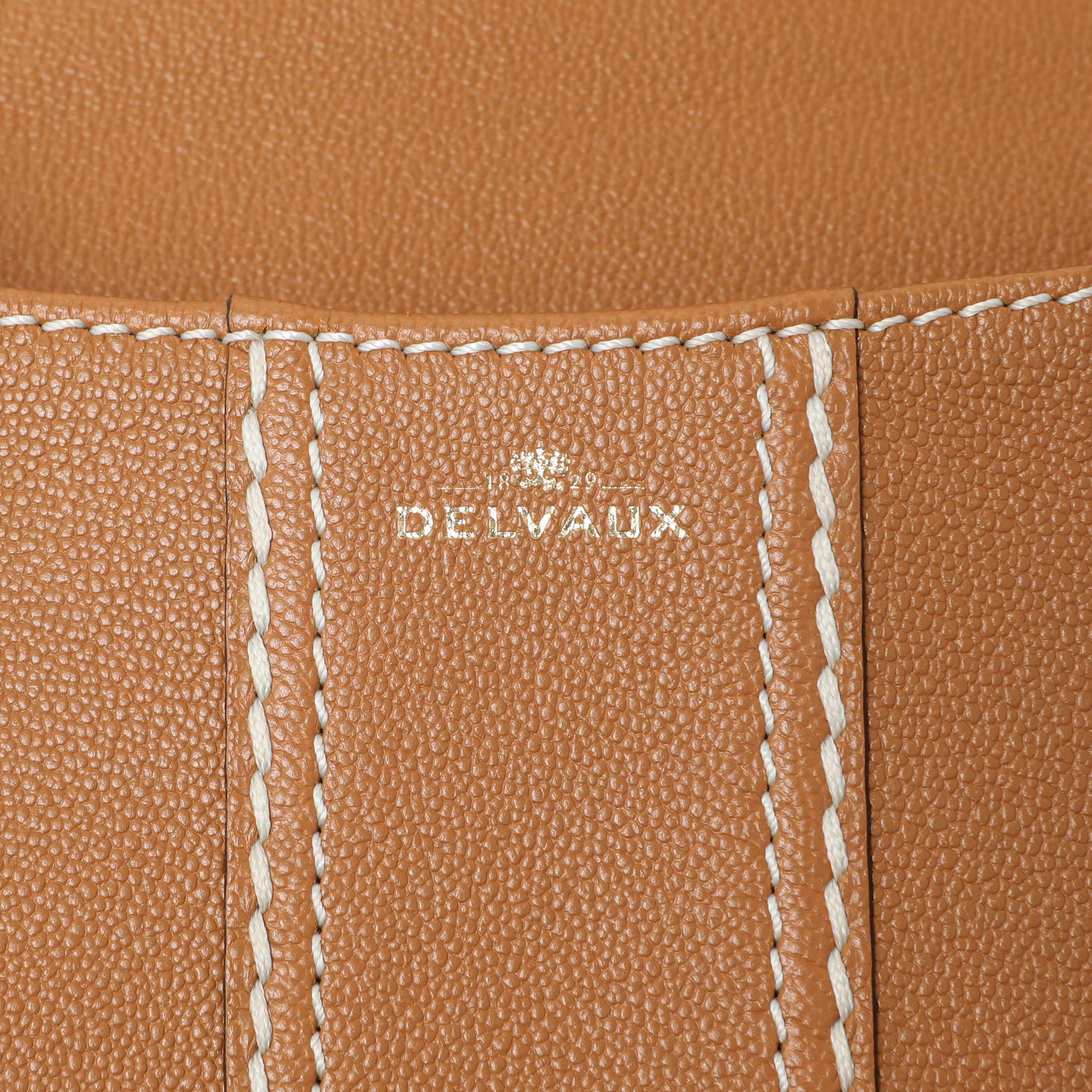 Delvaux Vegetal Grained Rodeo Calfskin Brillant Mini Surpiqué - Image 5