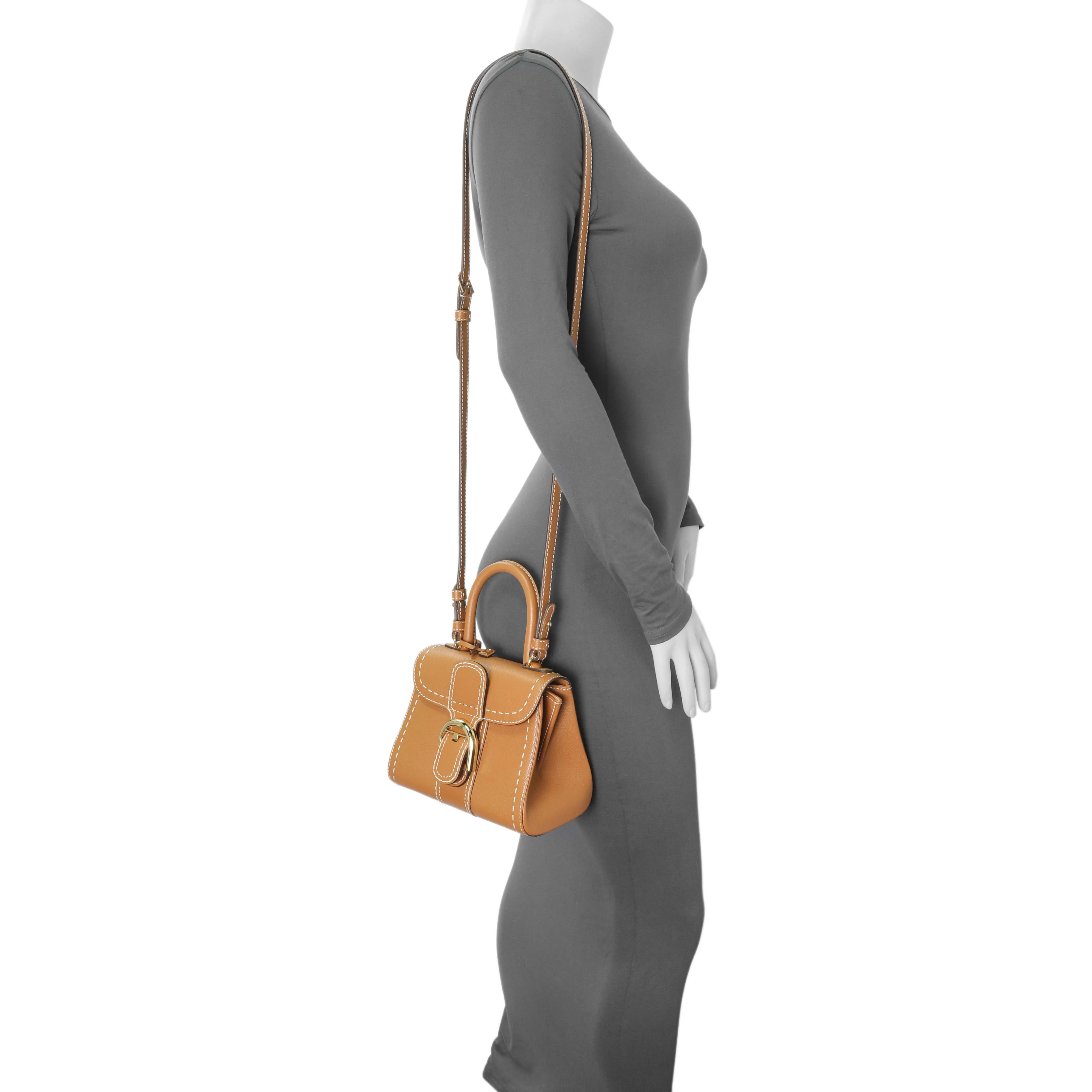 Delvaux Vegetal Grained Rodeo Calfskin Brillant Mini Surpiqué - Image 7