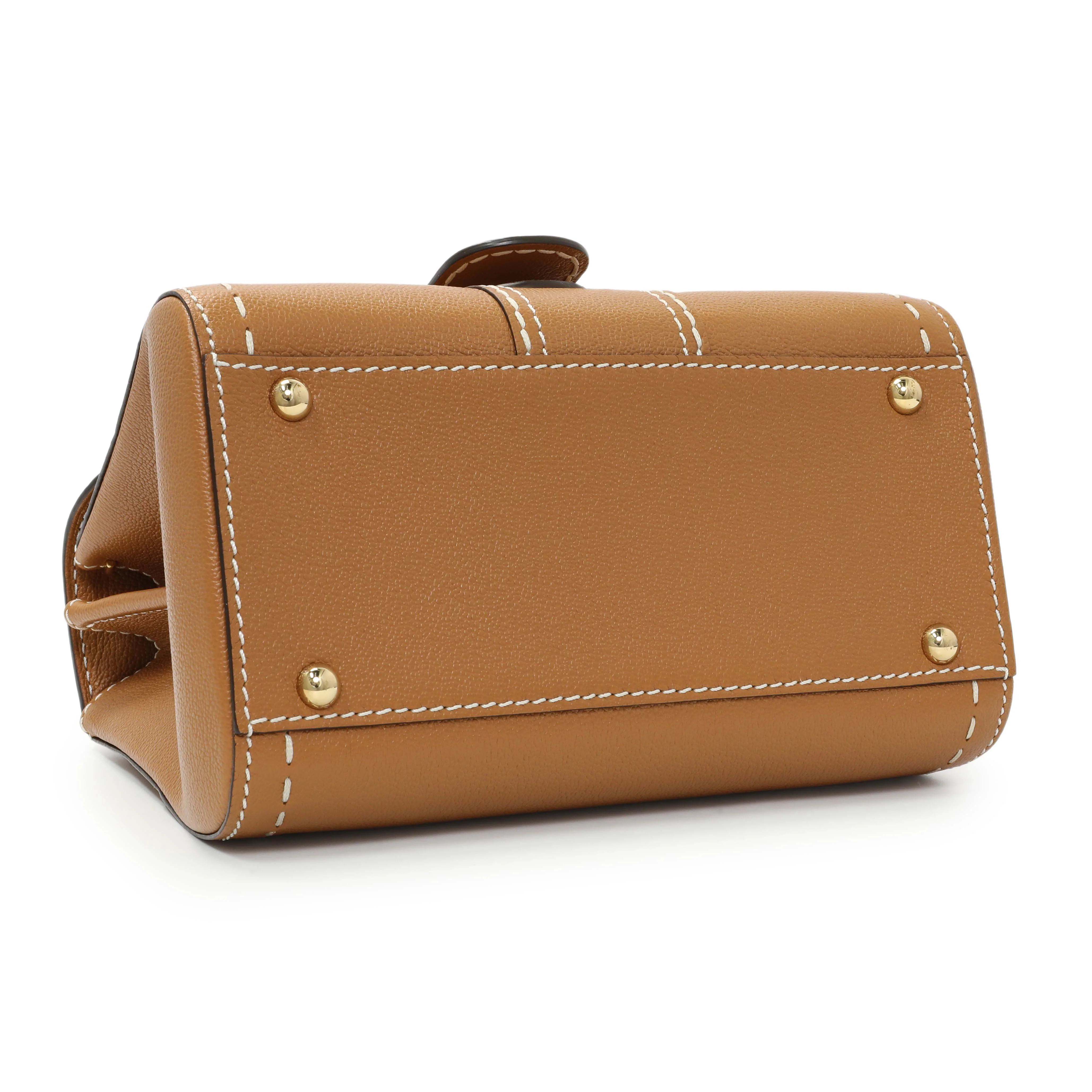 Delvaux Vegetal Grained Rodeo Calfskin Brillant Mini Surpiqué - Image 3