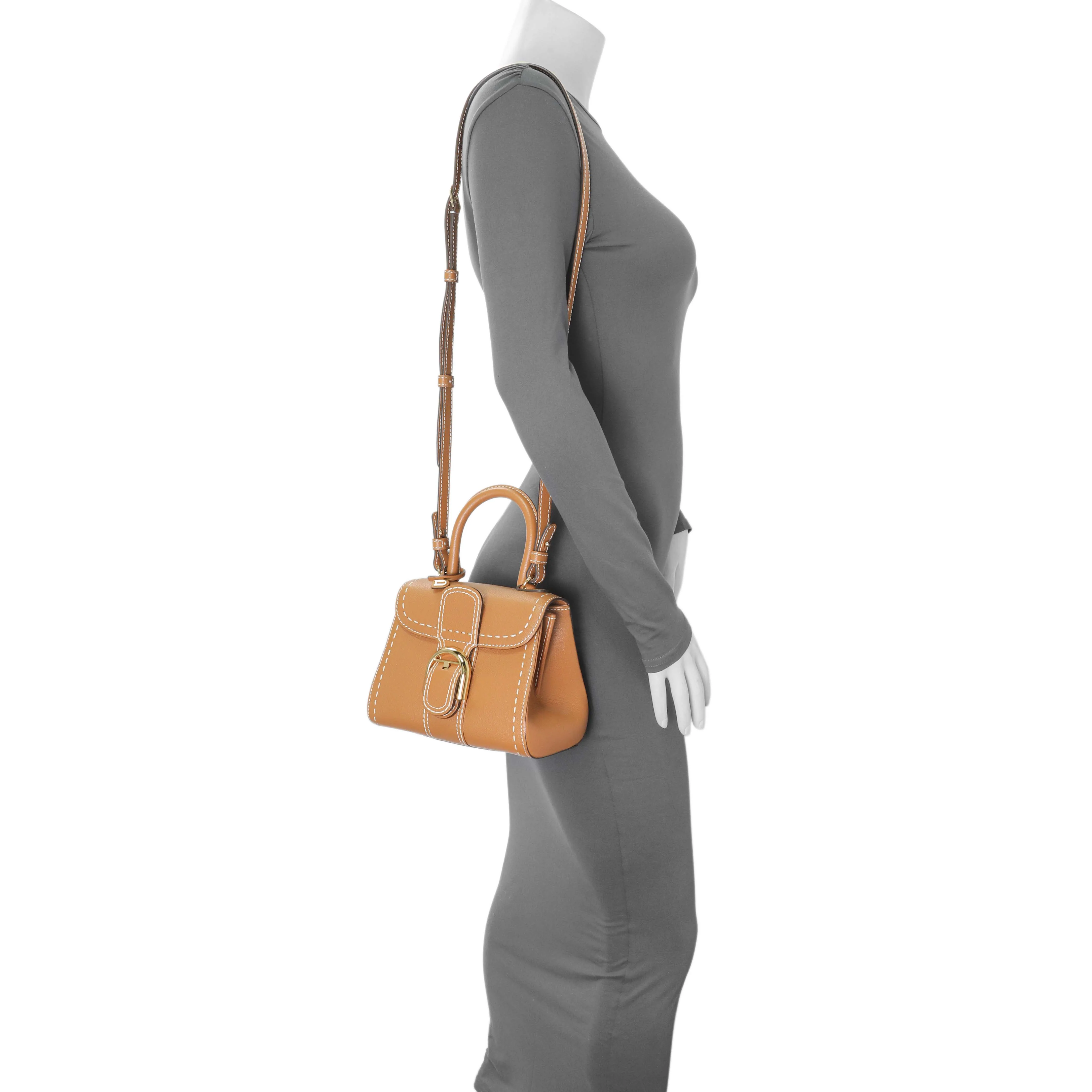 Delvaux Vegetal Grained Rodeo Calfskin Brillant Mini Surpiqué - Image 7