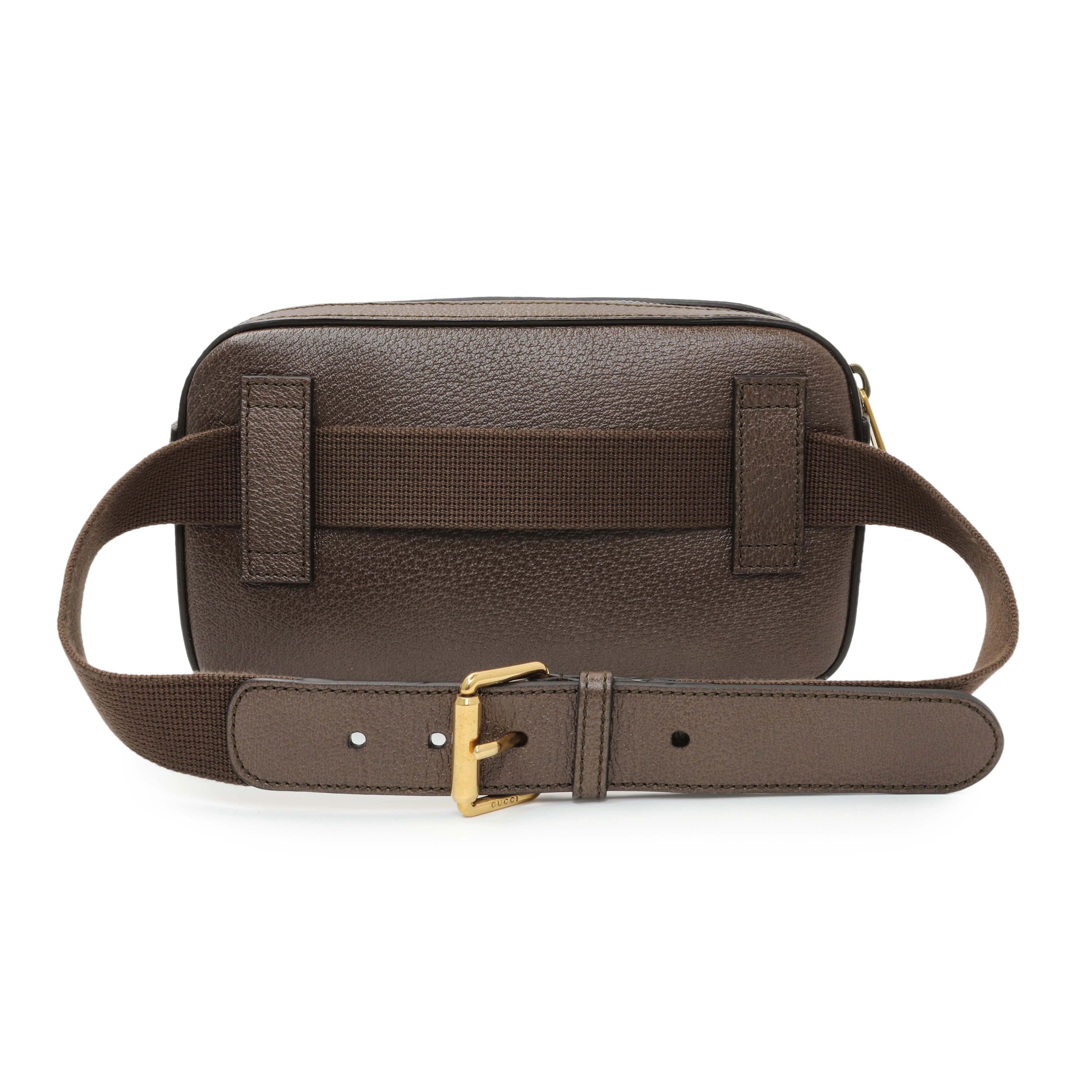 Gucci Textured Dollar Calfskin Gucci 100 Aria Belt Bag - Image 2