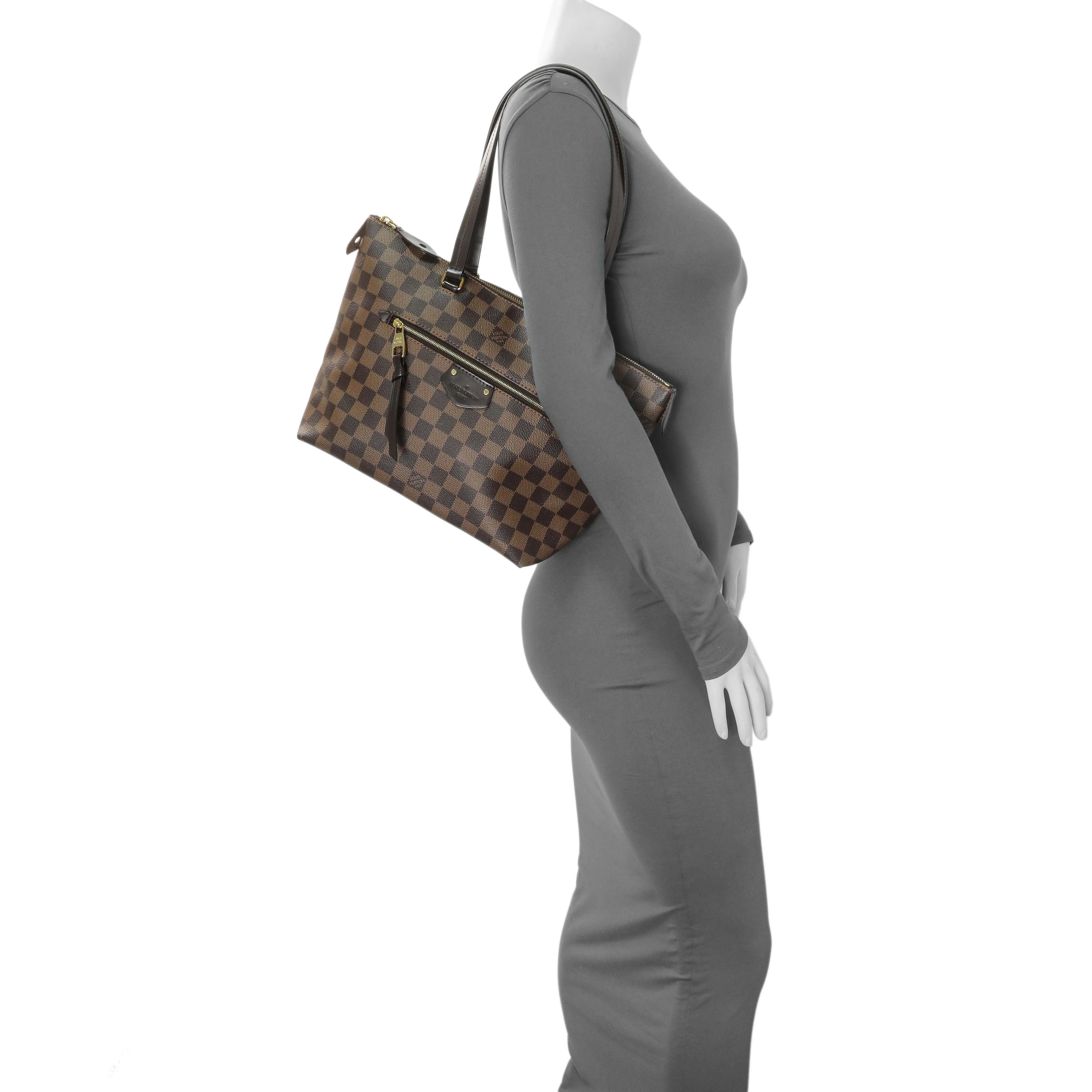 Louis Vuitton Damier Ebene Iena PM - Image 11