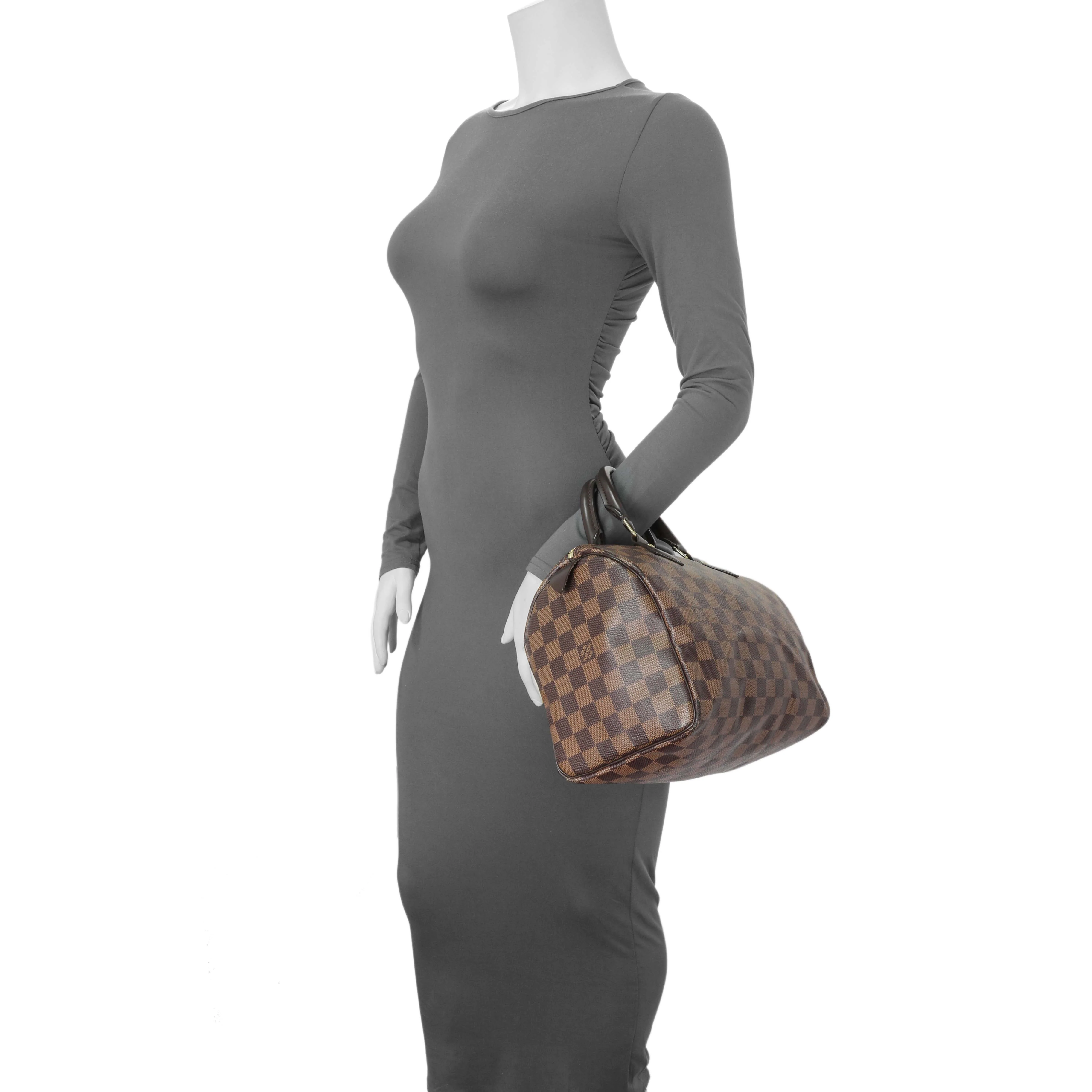 Louis Vuitton Damier Ebene Speedy 25 - Image 10
