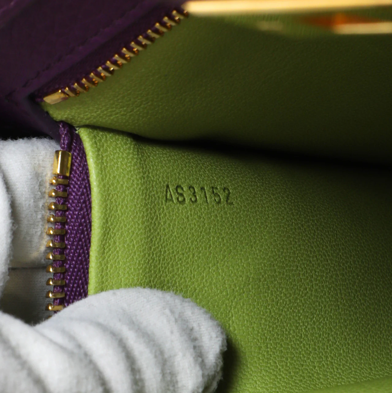 Louis Vuitton Haute Maroquinerie Neo  Steamer Bag - Image 11
