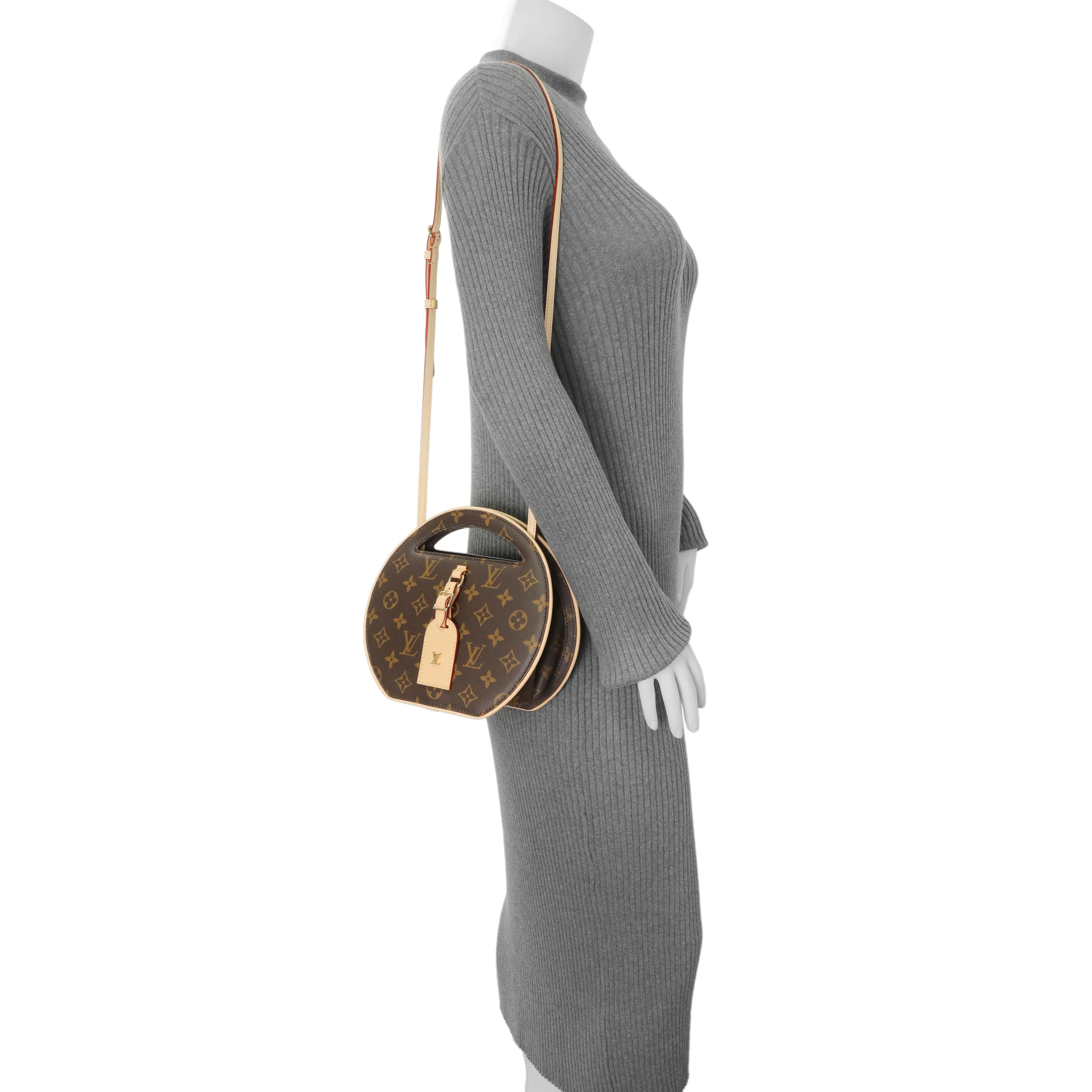 Louis Vuitton Monogram Around Me PM - Image 6