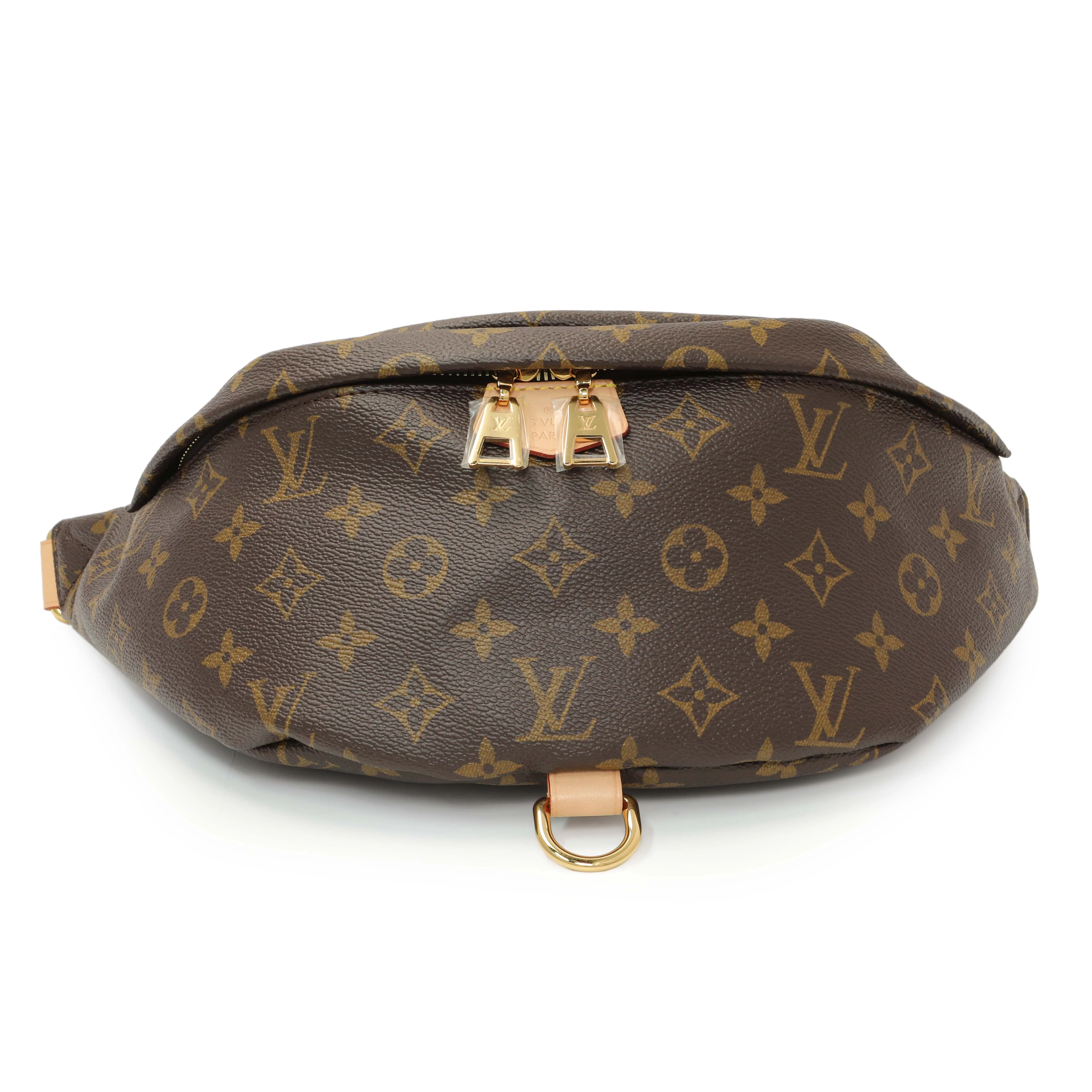 Louis Vuitton Monogram Bumbag