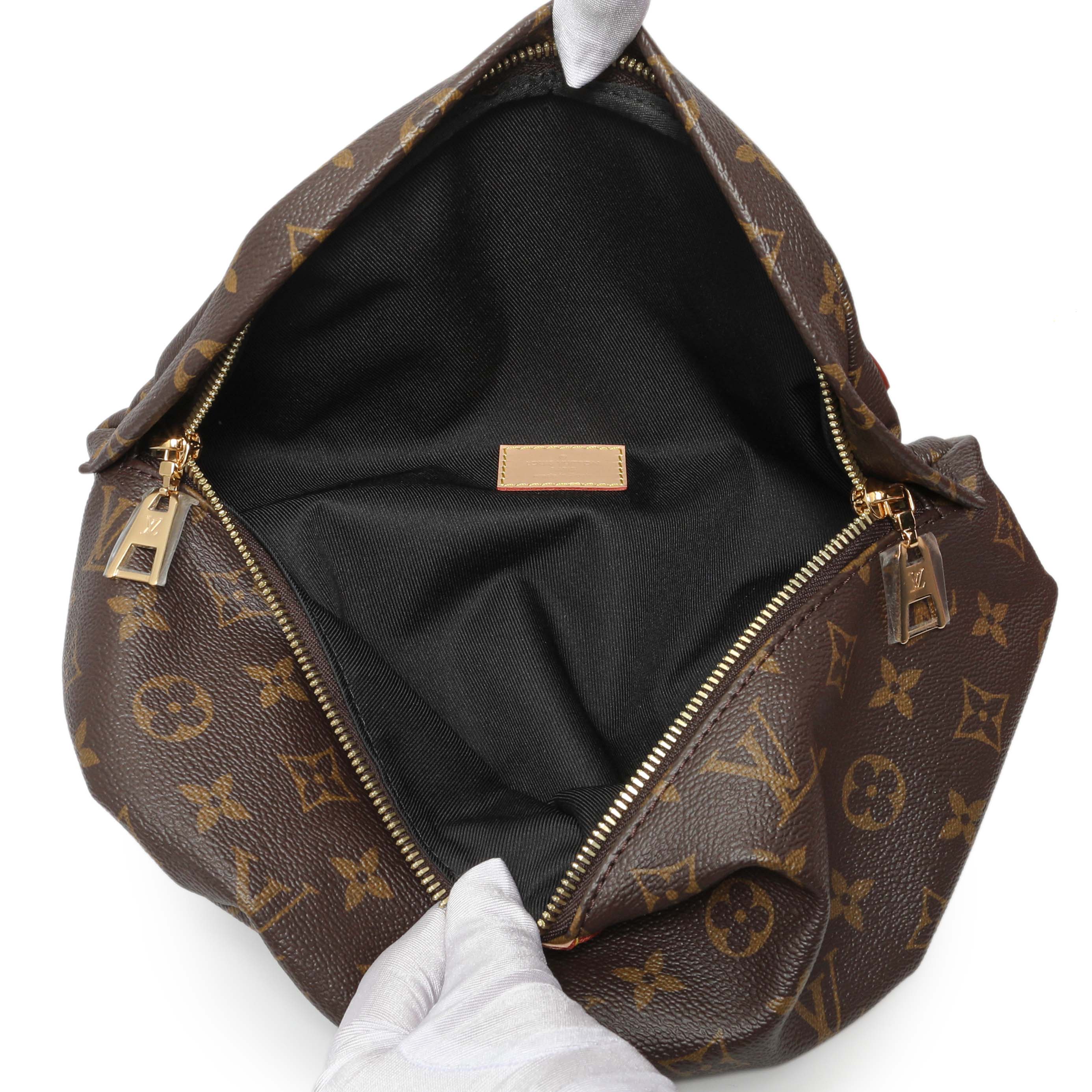Louis Vuitton Monogram Bumbag - Image 4