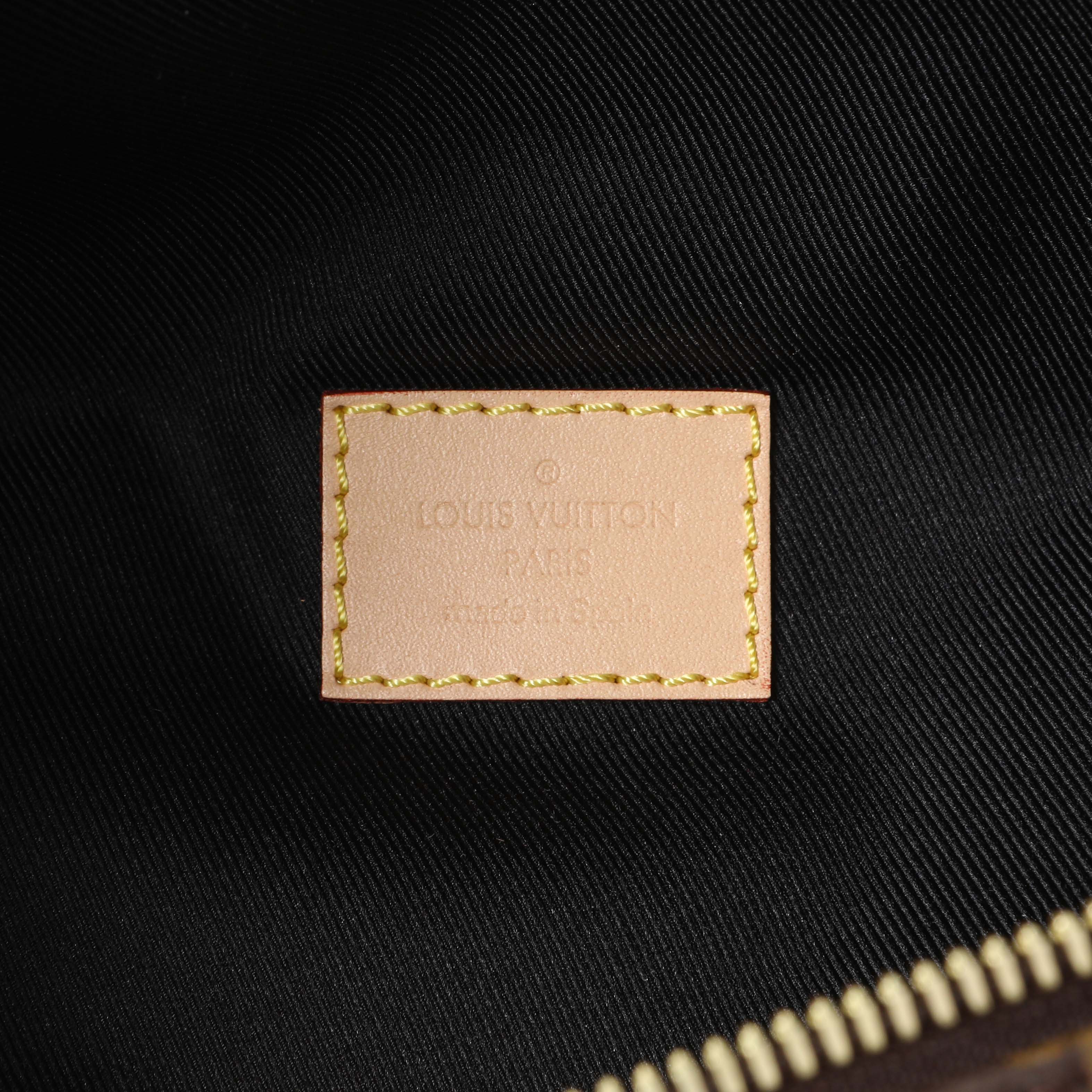 Louis Vuitton Monogram Bumbag - Image 5