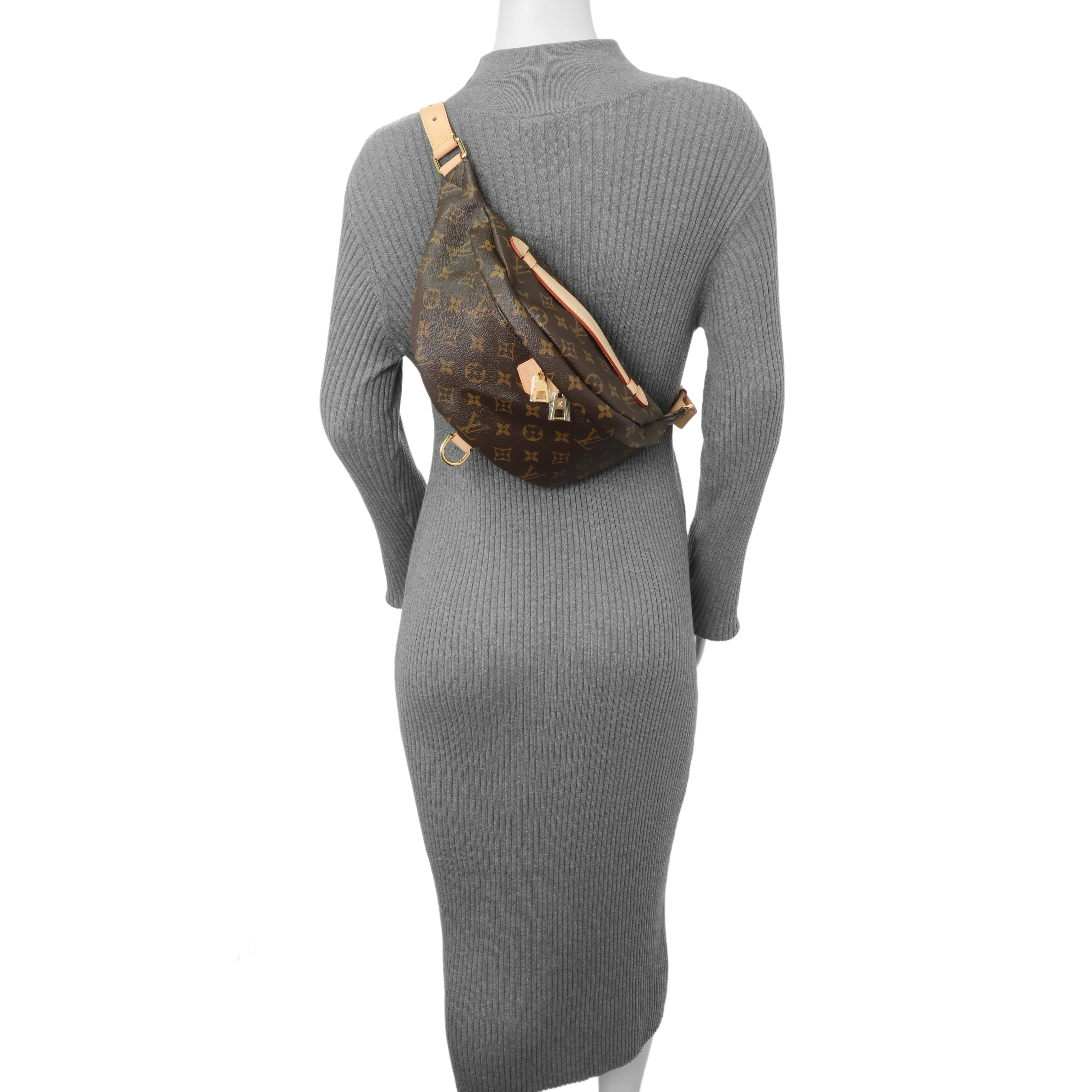 Louis Vuitton Monogram Bumbag - Image 6