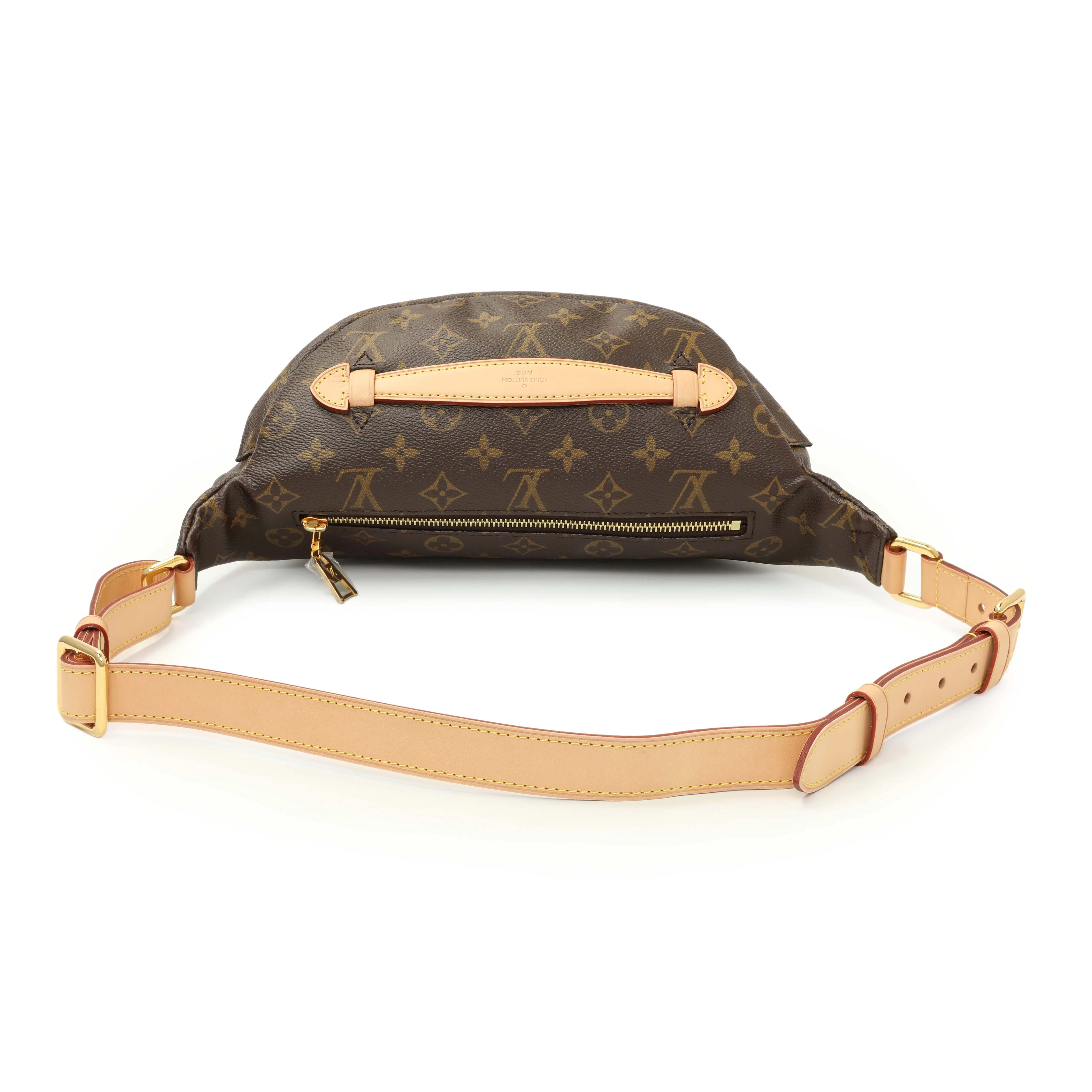 Louis Vuitton Monogram Bumbag - Image 2