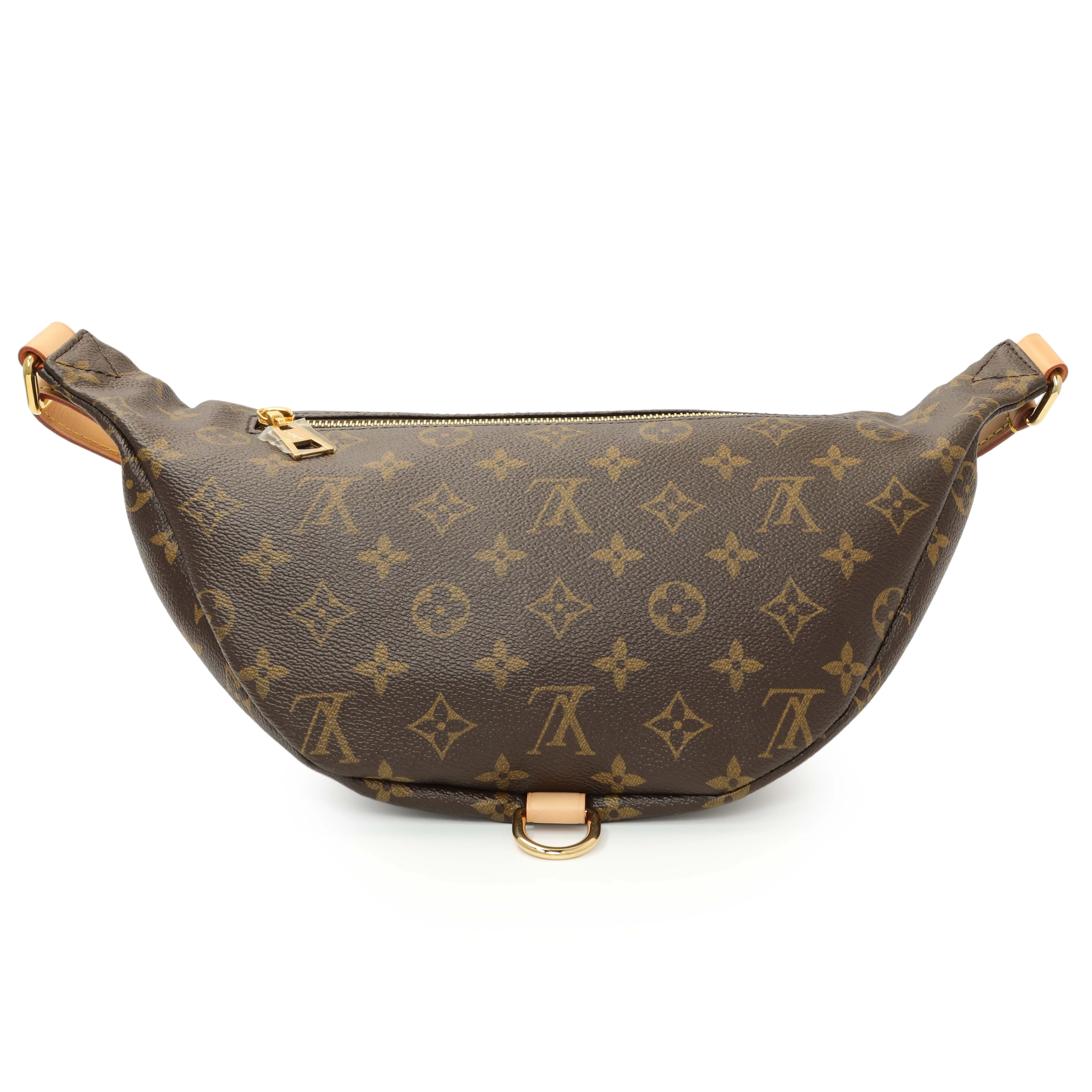 Louis Vuitton Monogram Bumbag - Image 3