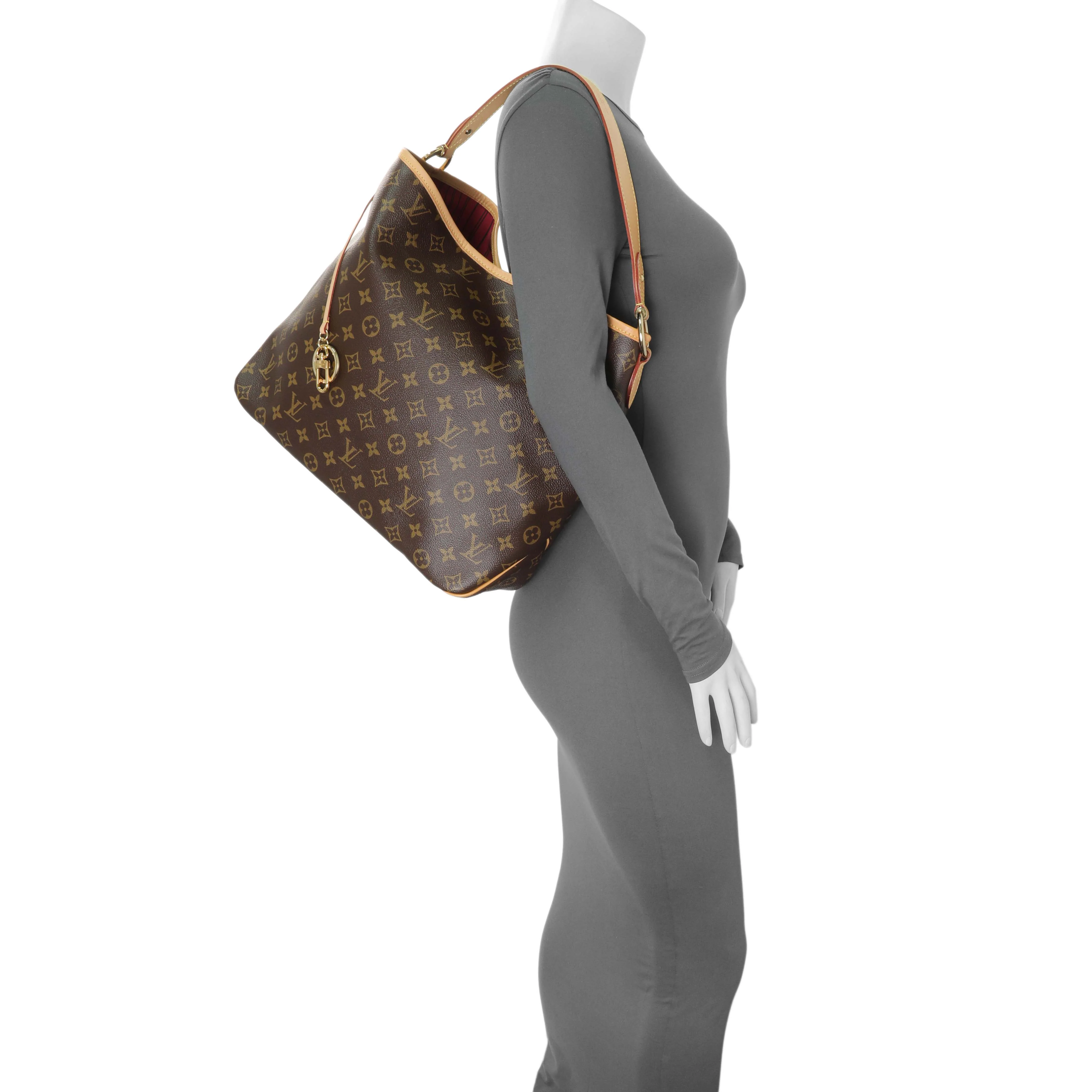 Louis Vuitton Monogram Delightful MM - Image 8