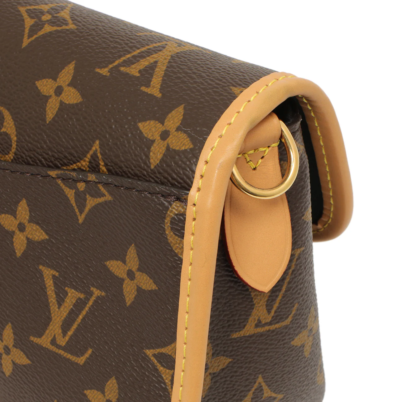 Louis Vuitton Monogram Diane - Image 9