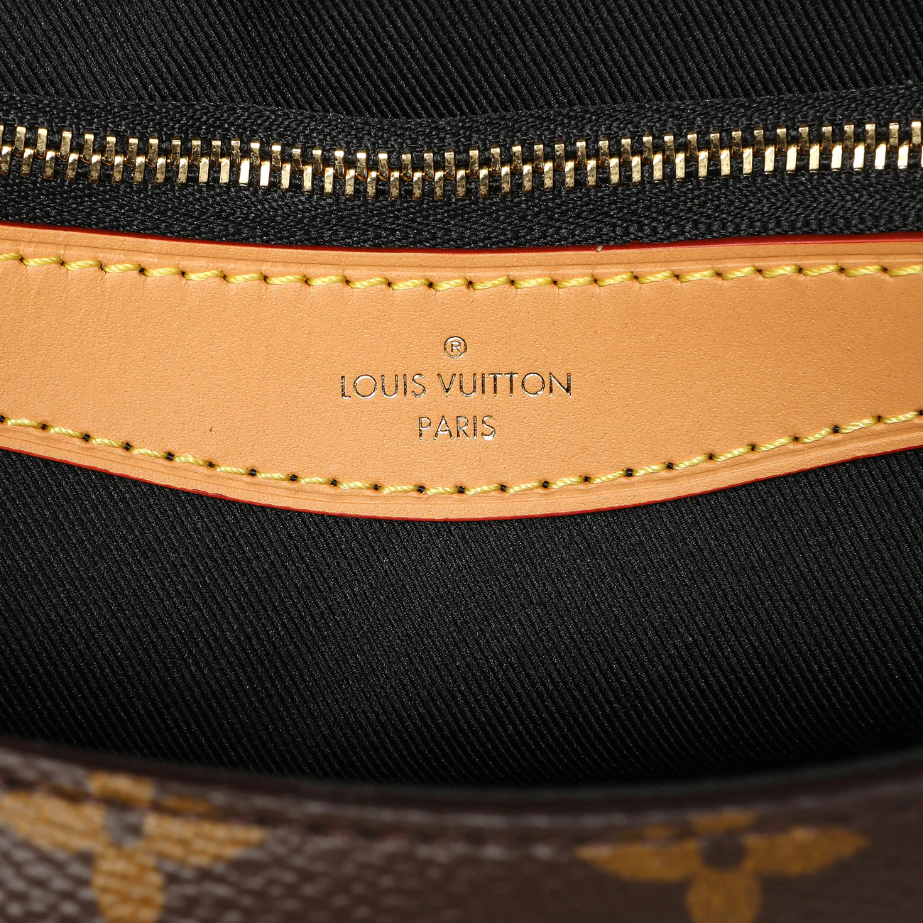 Louis Vuitton Monogram Diane - Image 5