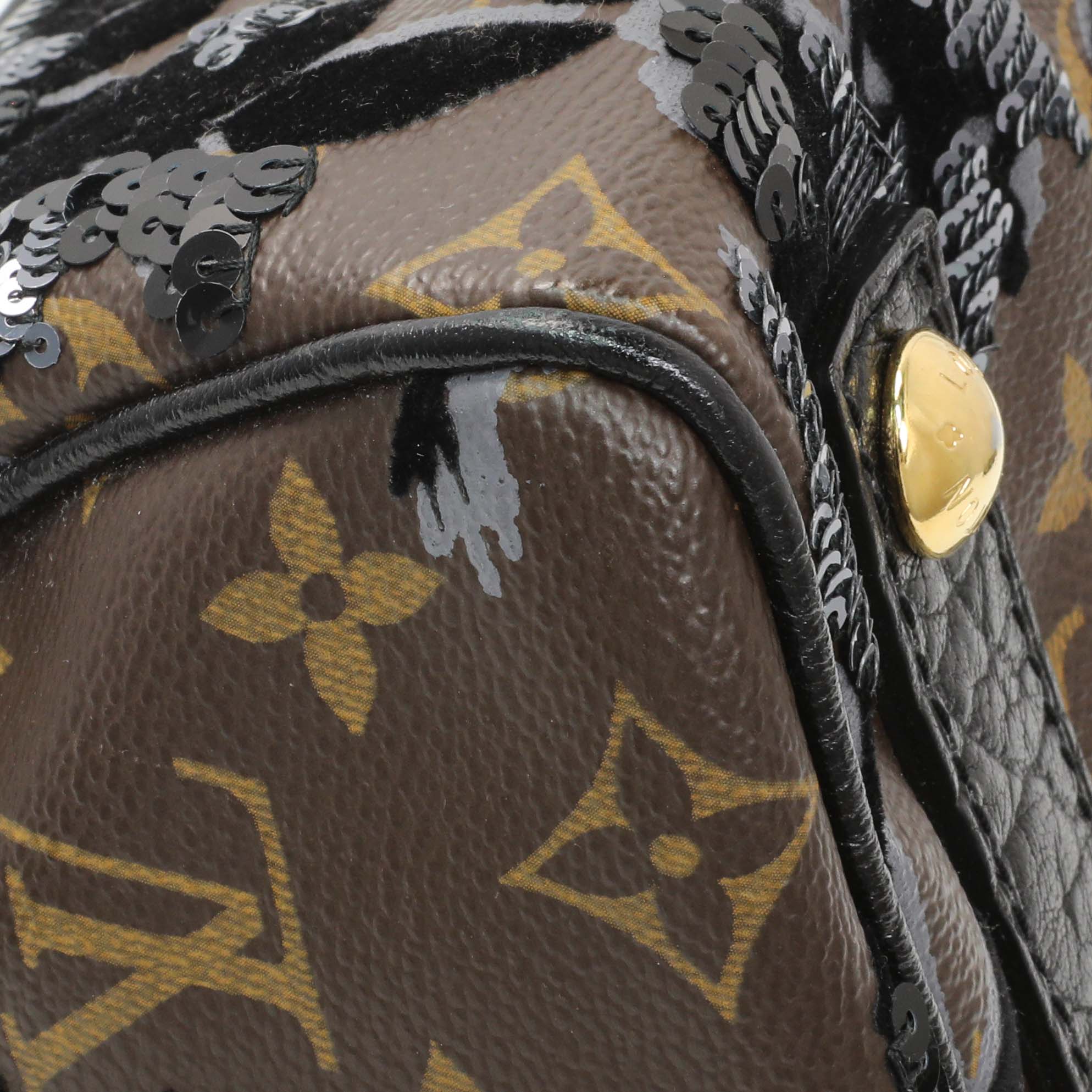Louis Vuitton Monogram Fleur De Jais Carrousel - Image 6