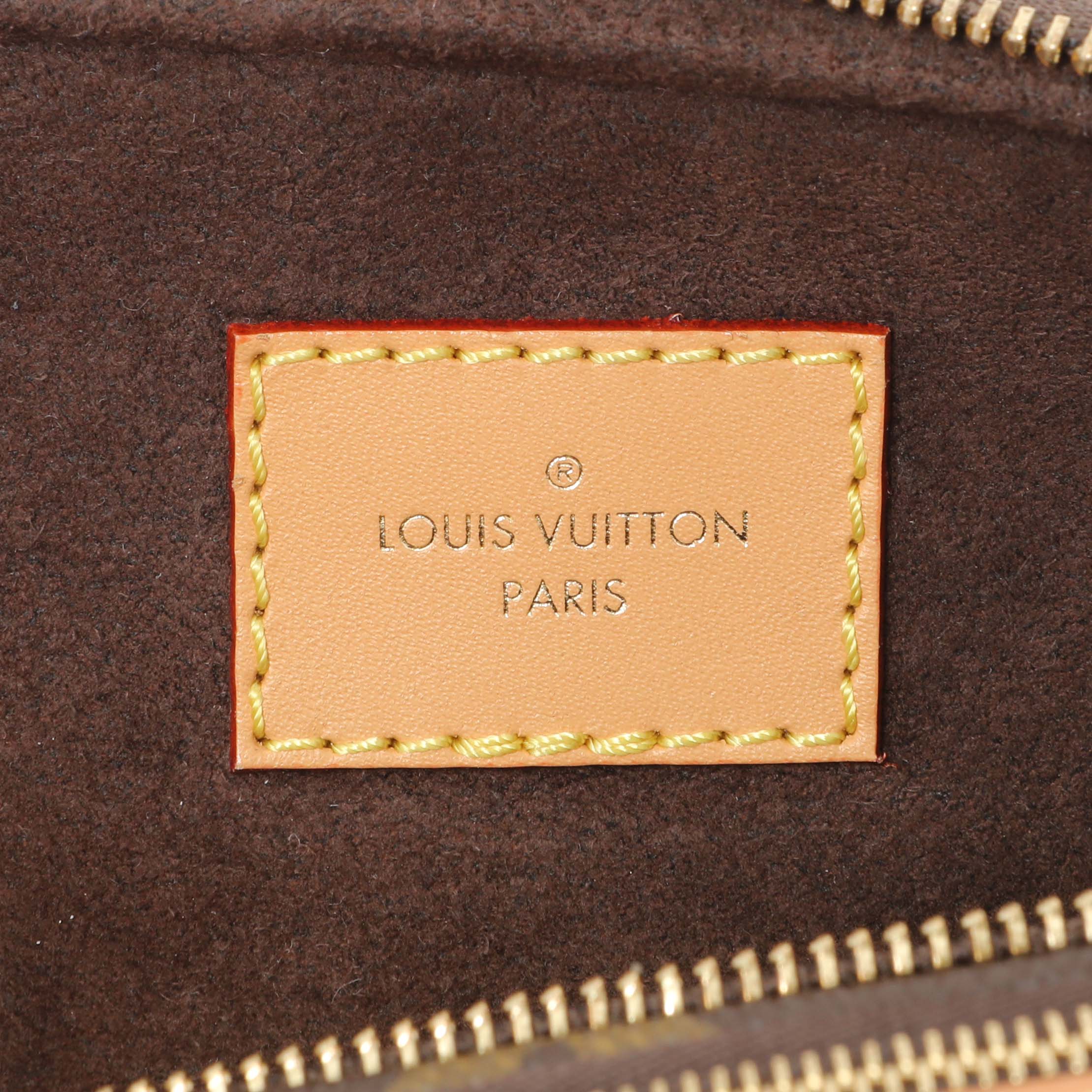 Louis Vuitton Monogram Mini Bumbag - Image 5