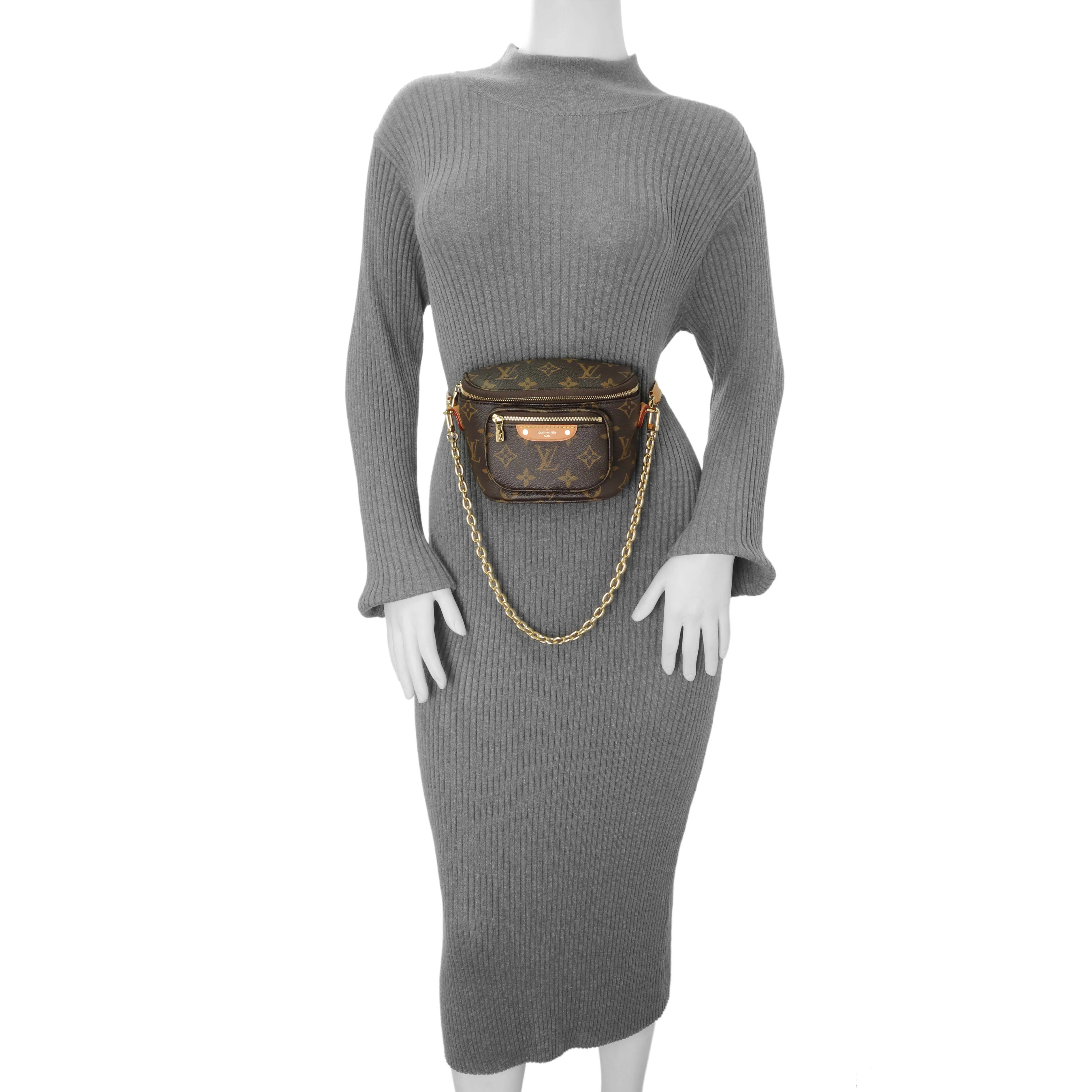 Louis Vuitton Monogram Mini Bumbag - Image 6