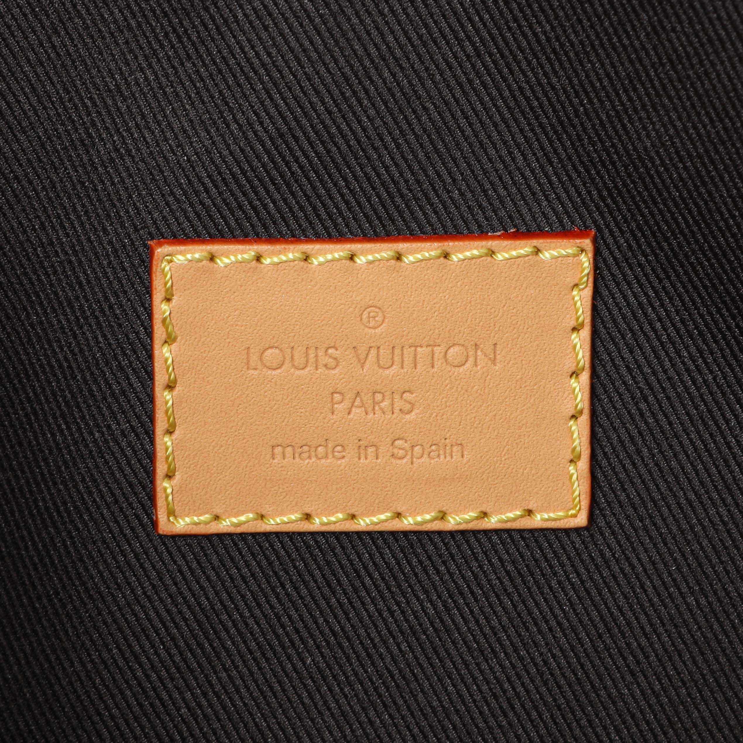Louis Vuitton Monogram Nano Diane - Image 4