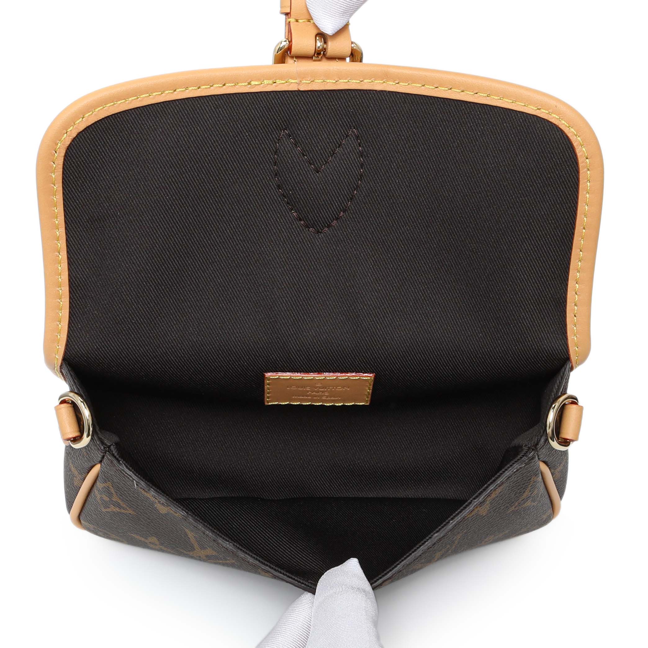 Louis Vuitton Monogram Nano Diane - Image 5