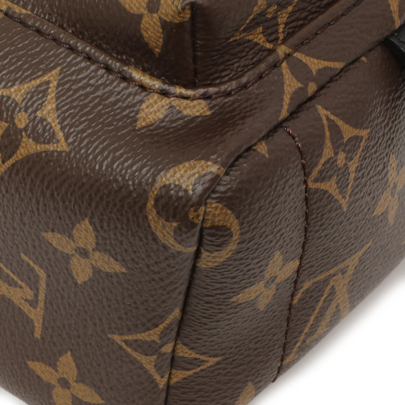 Louis Vuitton Monogram Palm Springs Backpack Mini - Image 4