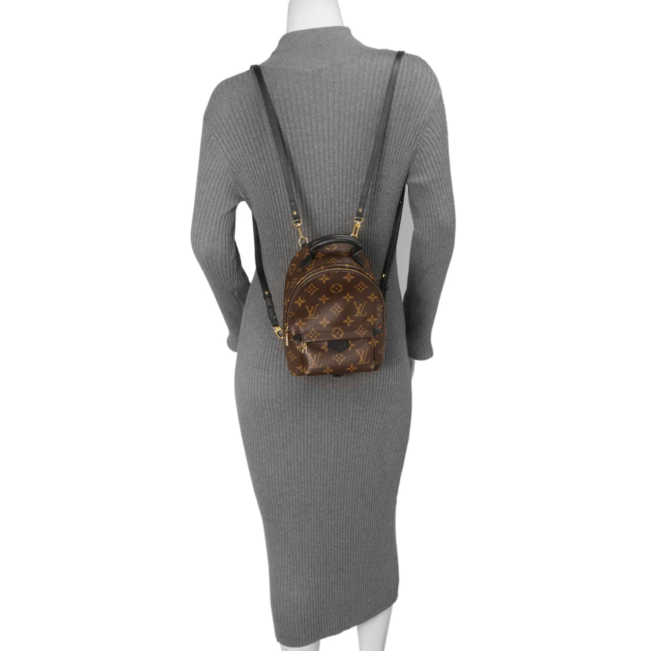 Louis Vuitton Monogram Palm Springs Backpack Mini - Image 10
