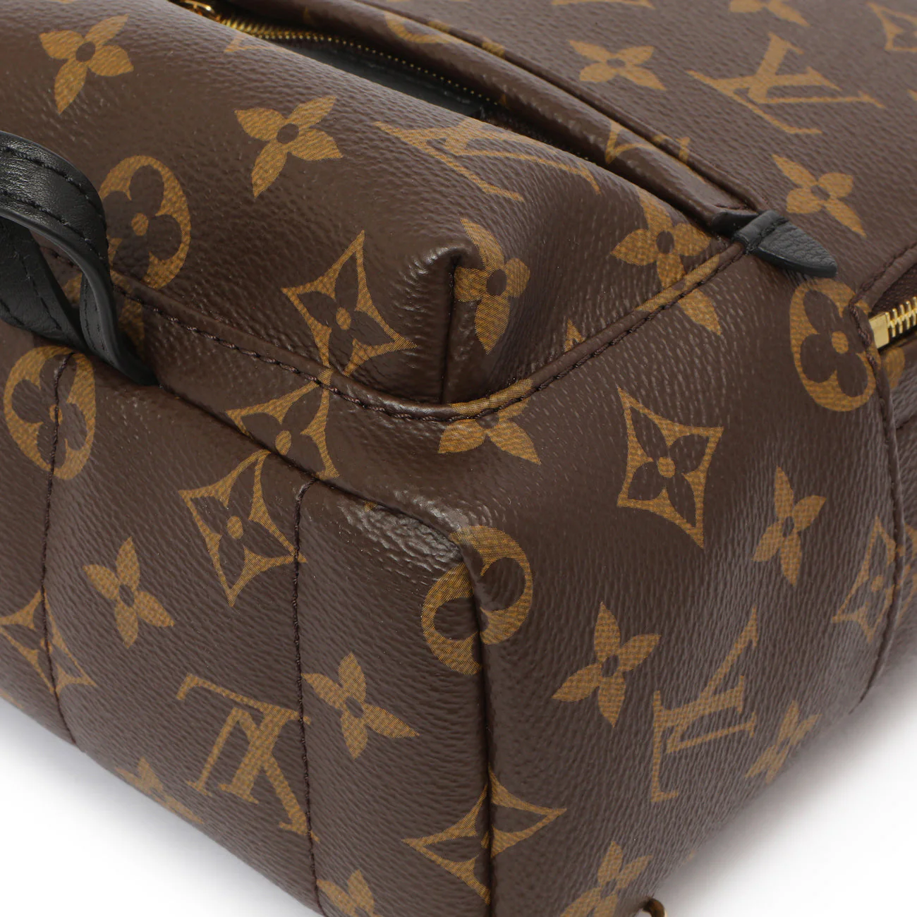Louis Vuitton Monogram Palm Springs Backpack Mini - Image 5