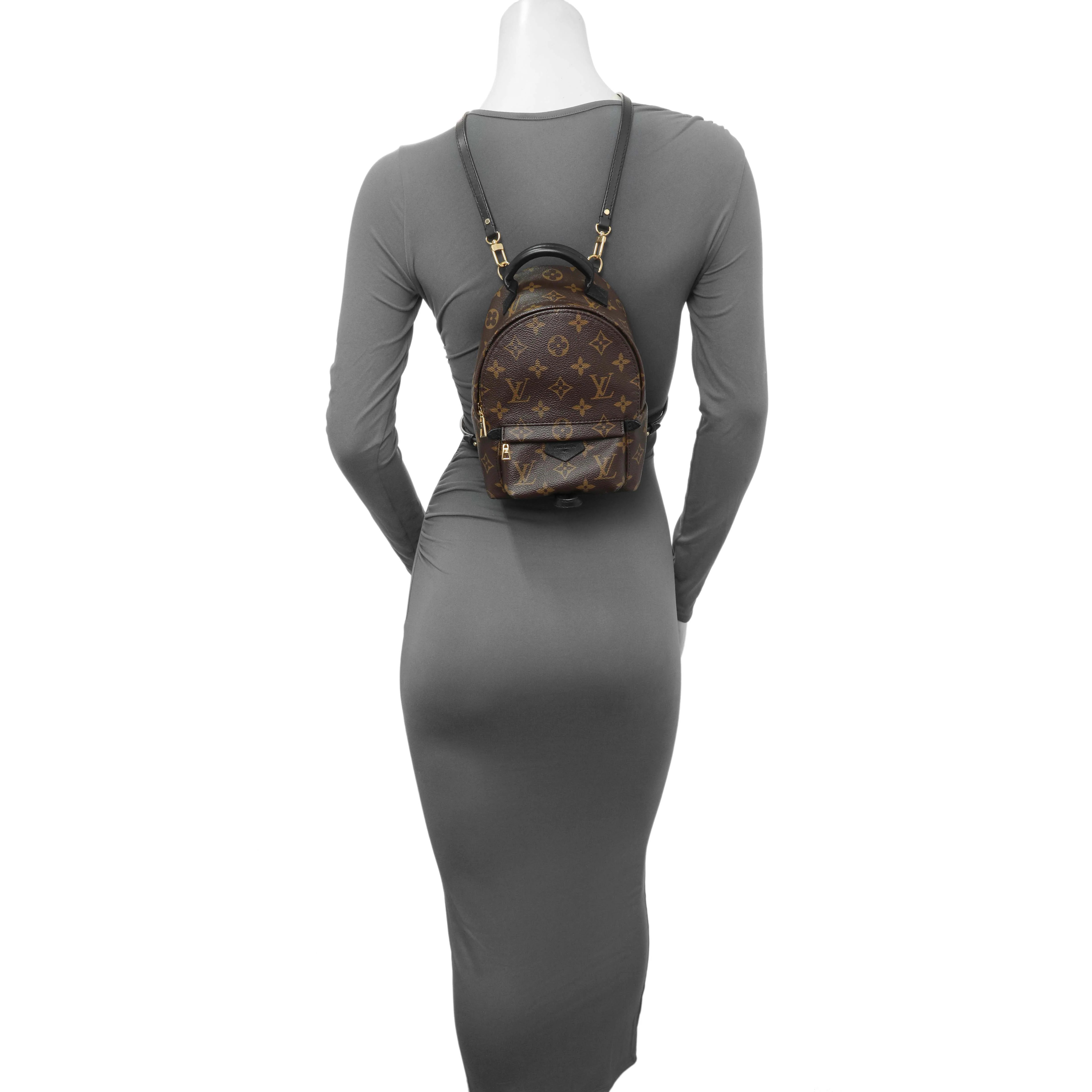 Louis Vuitton Monogram Palm Springs Backpack Mini - Image 10