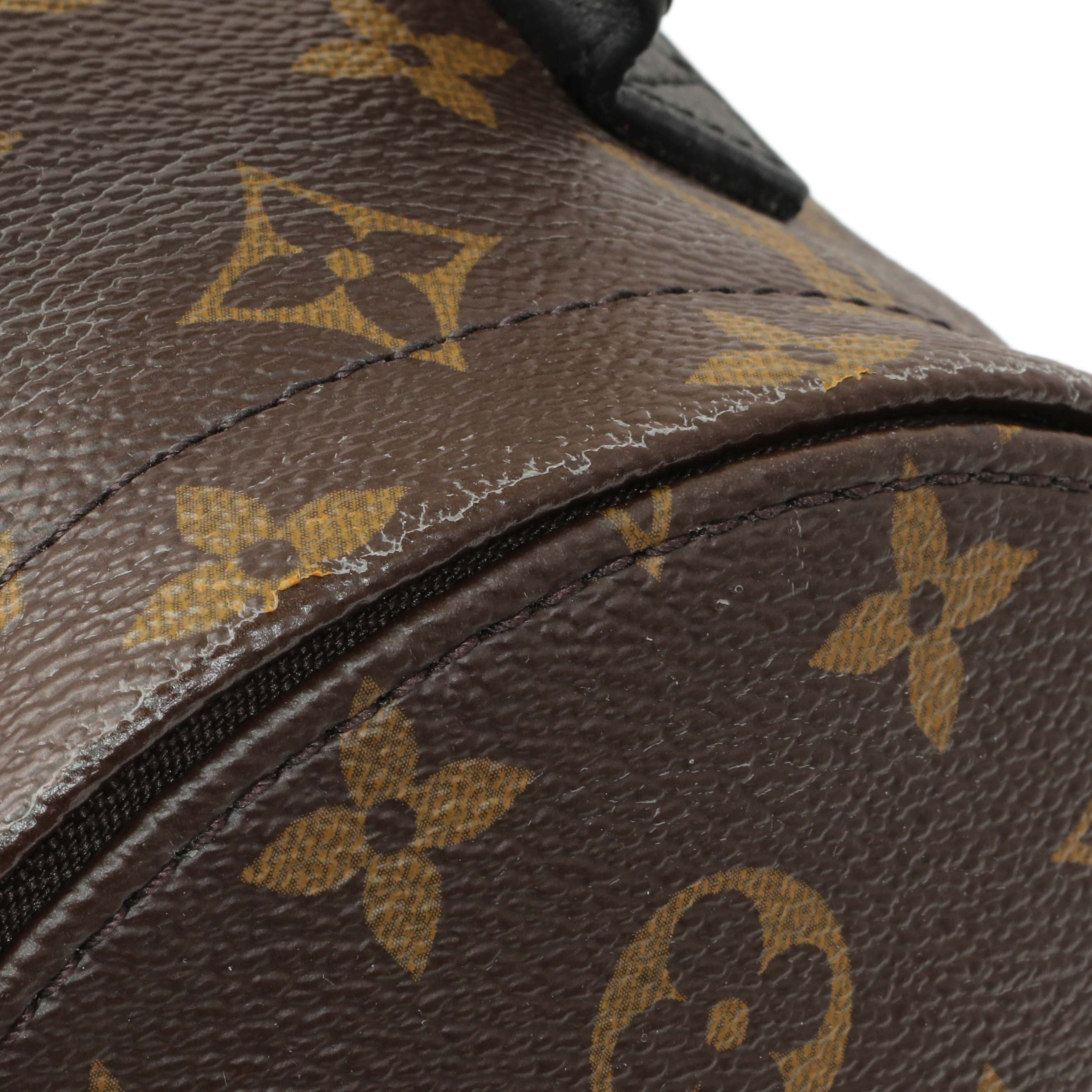 Louis Vuitton Monogram Palm Springs Backpack Mini - Image 9