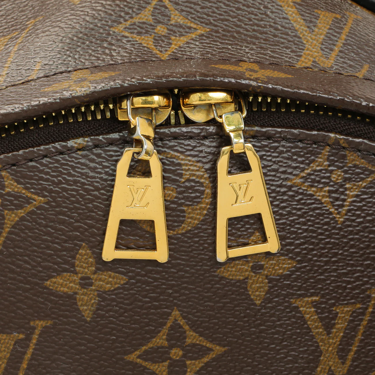 Louis Vuitton Monogram Palm Springs Backpack MM - Image 14