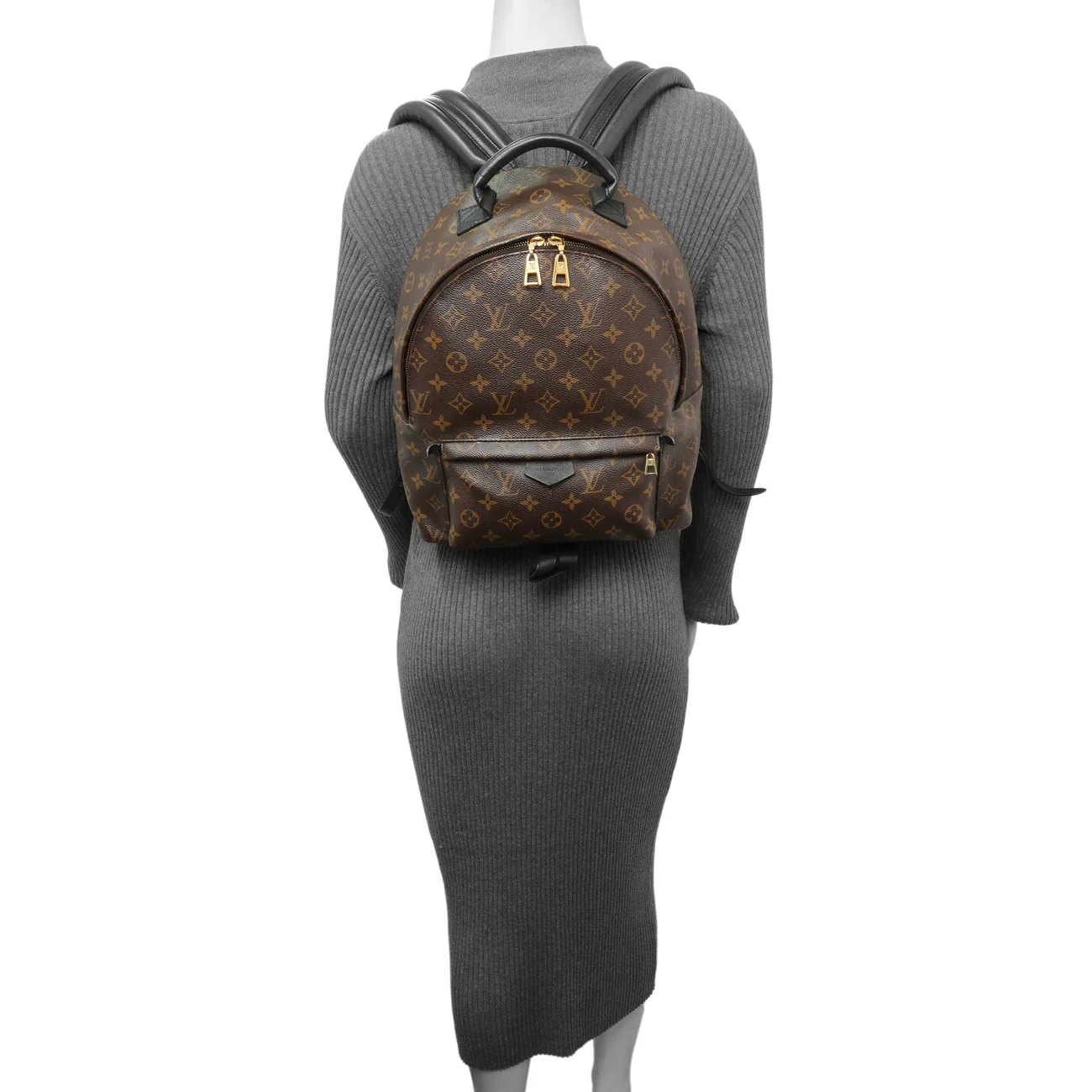 Louis Vuitton Monogram Palm Springs Backpack MM - Image 15