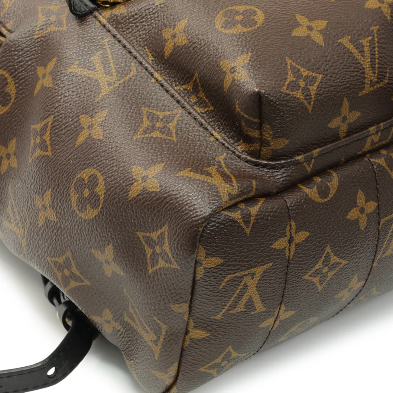 Louis Vuitton Monogram Palm Springs Backpack MM - Image 4