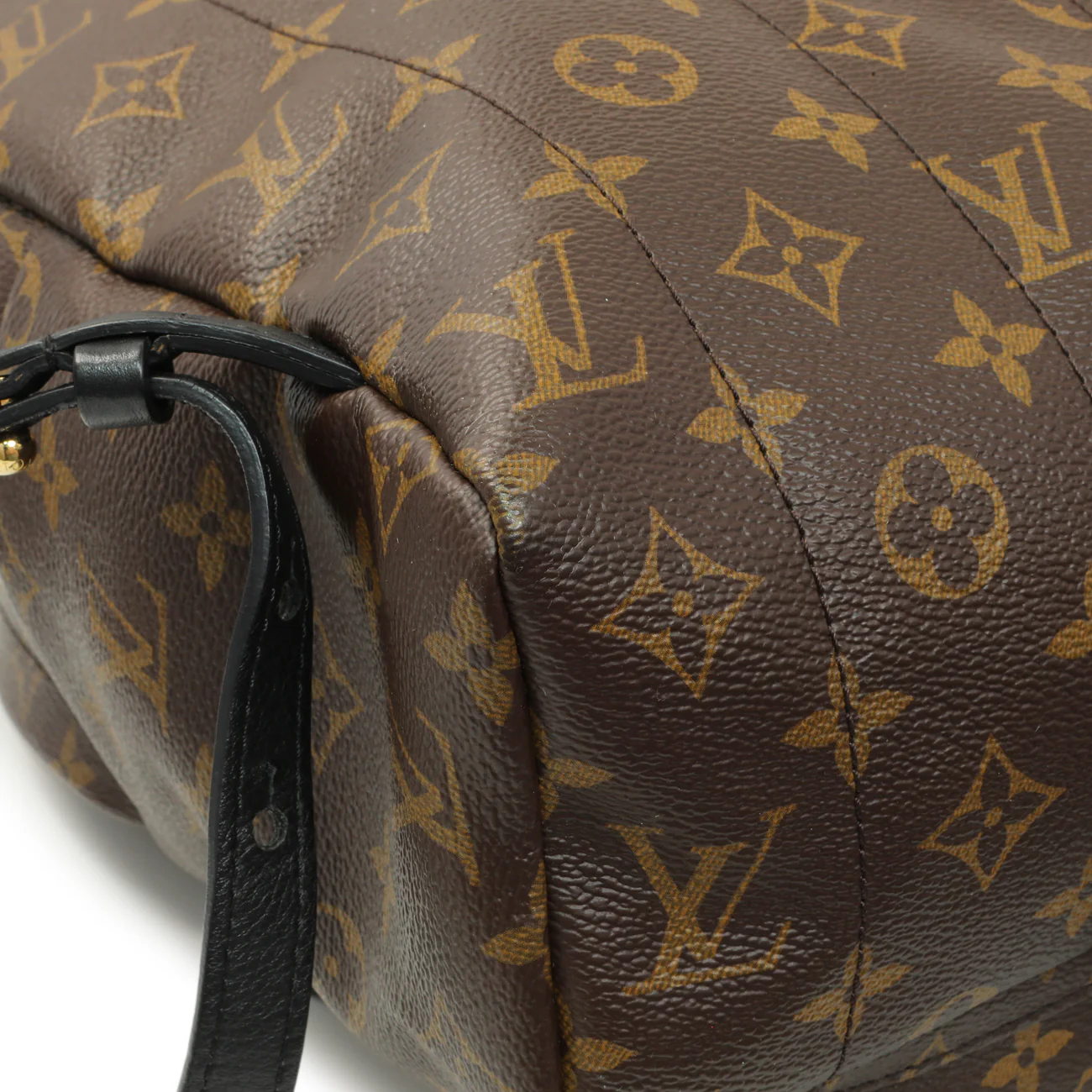 Louis Vuitton Monogram Palm Springs Backpack MM - Image 6