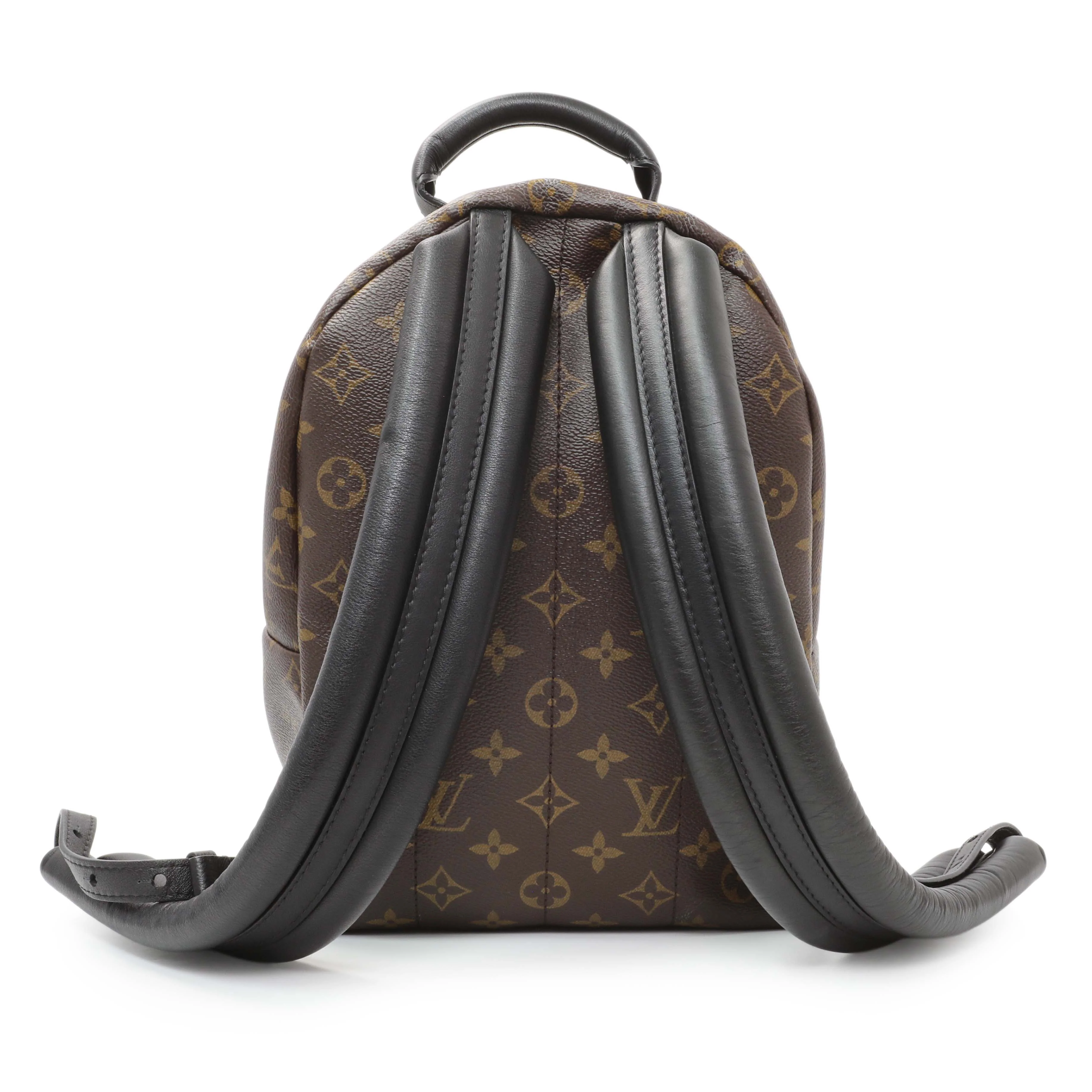 Louis Vuitton Monogram Palm Springs Backpack PM - Image 2