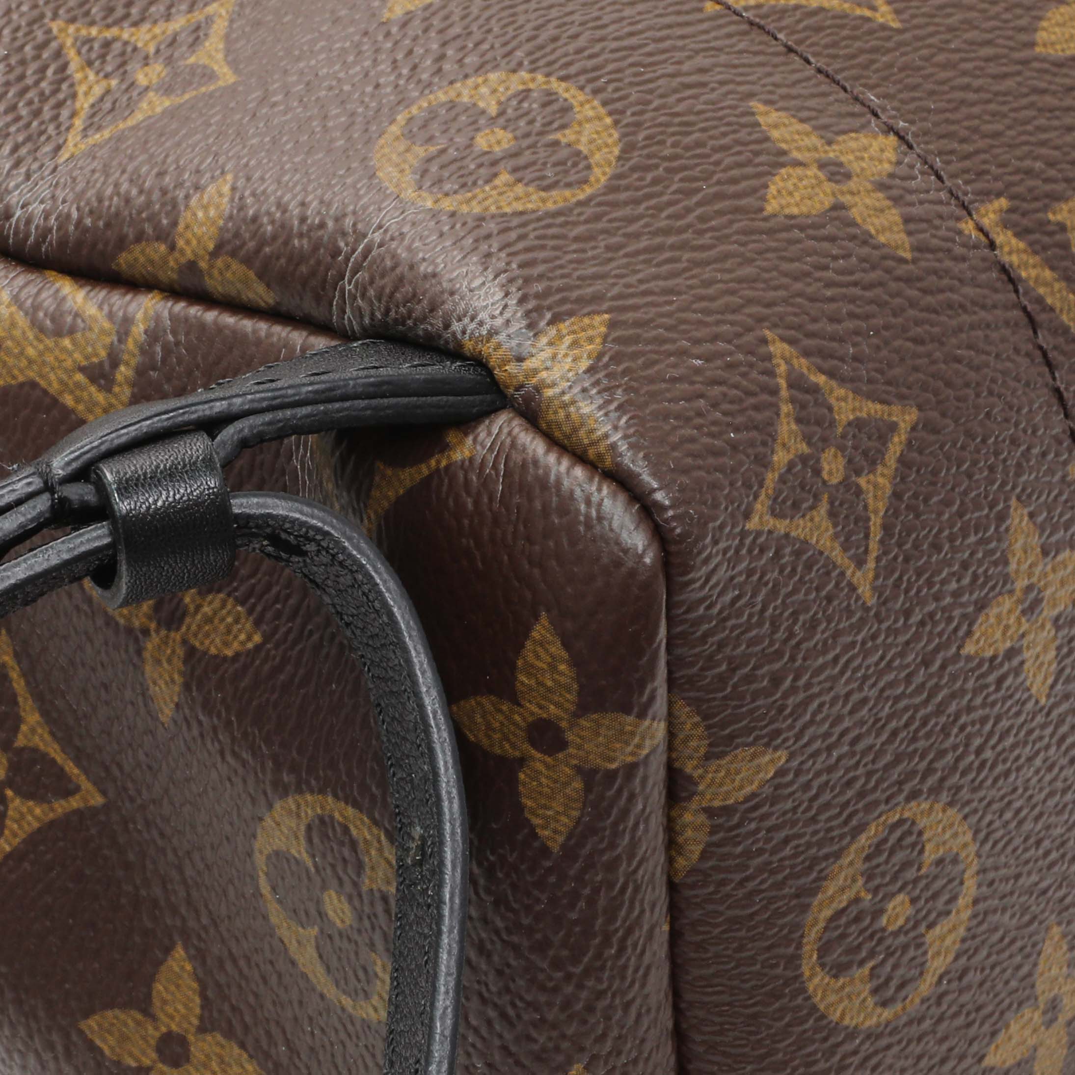 Louis Vuitton Monogram Palm Springs Backpack PM - Image 6