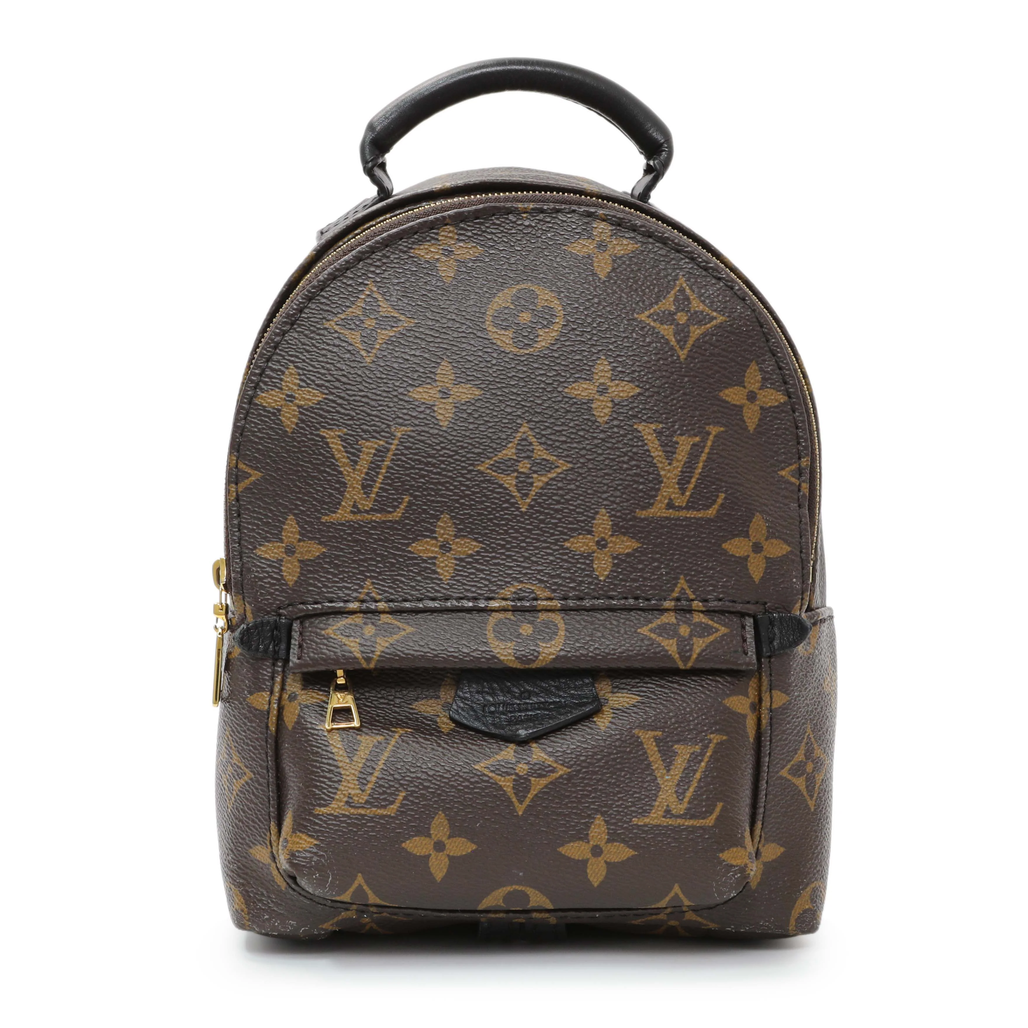 Louis Vuitton Monogram Palm Springs Mini