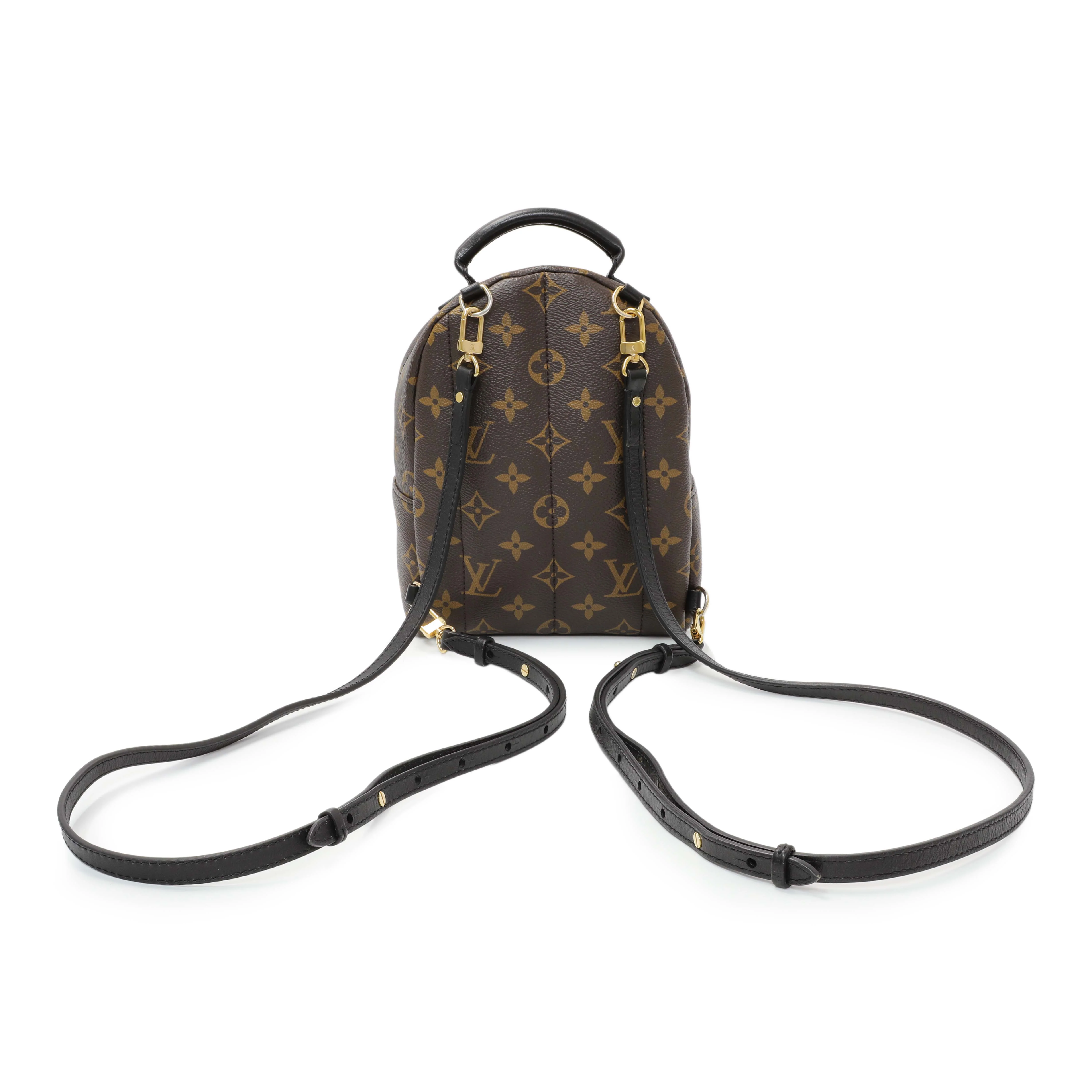 Louis Vuitton Monogram Palm Springs Mini - Image 2