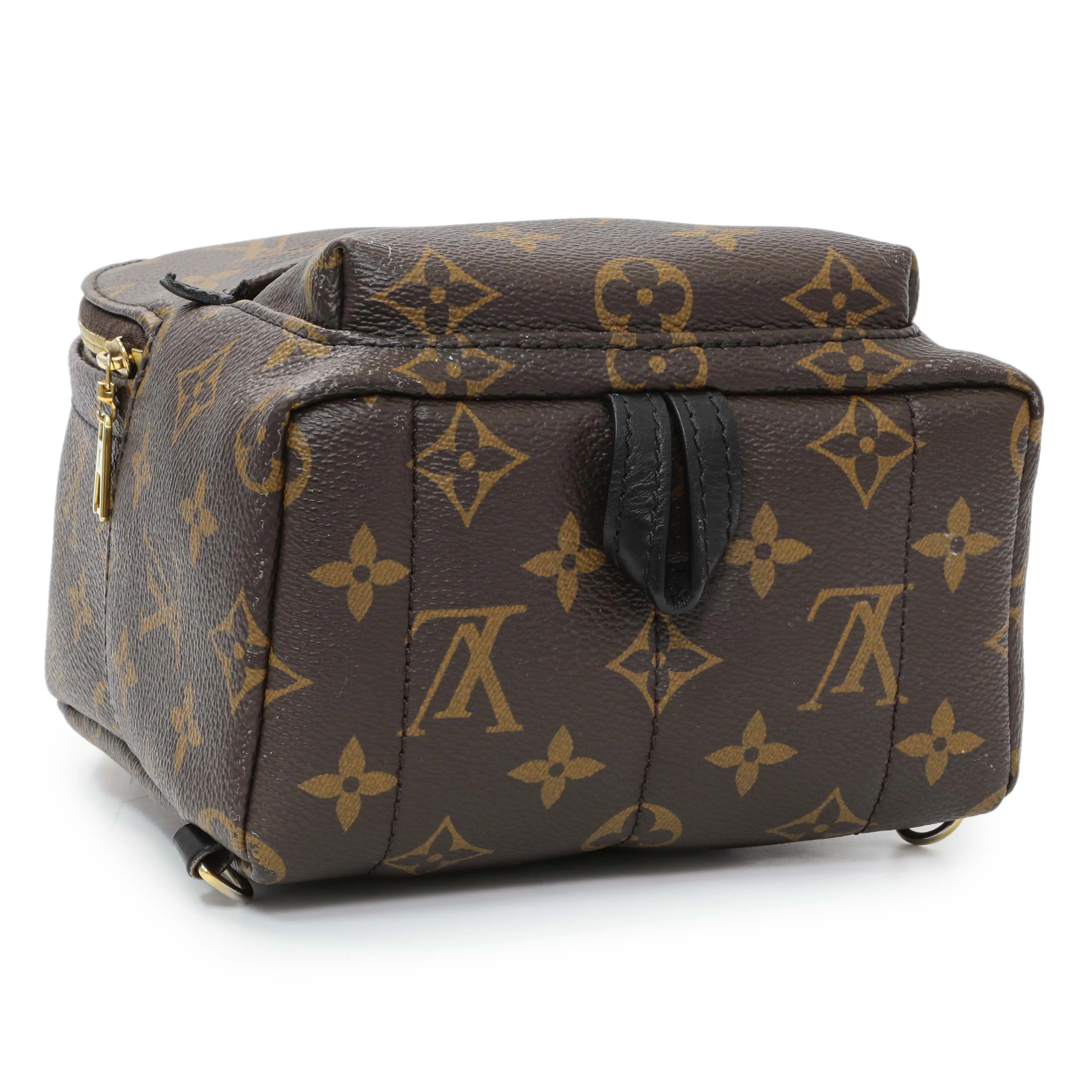 Louis Vuitton Monogram Palm Springs Mini - Image 3