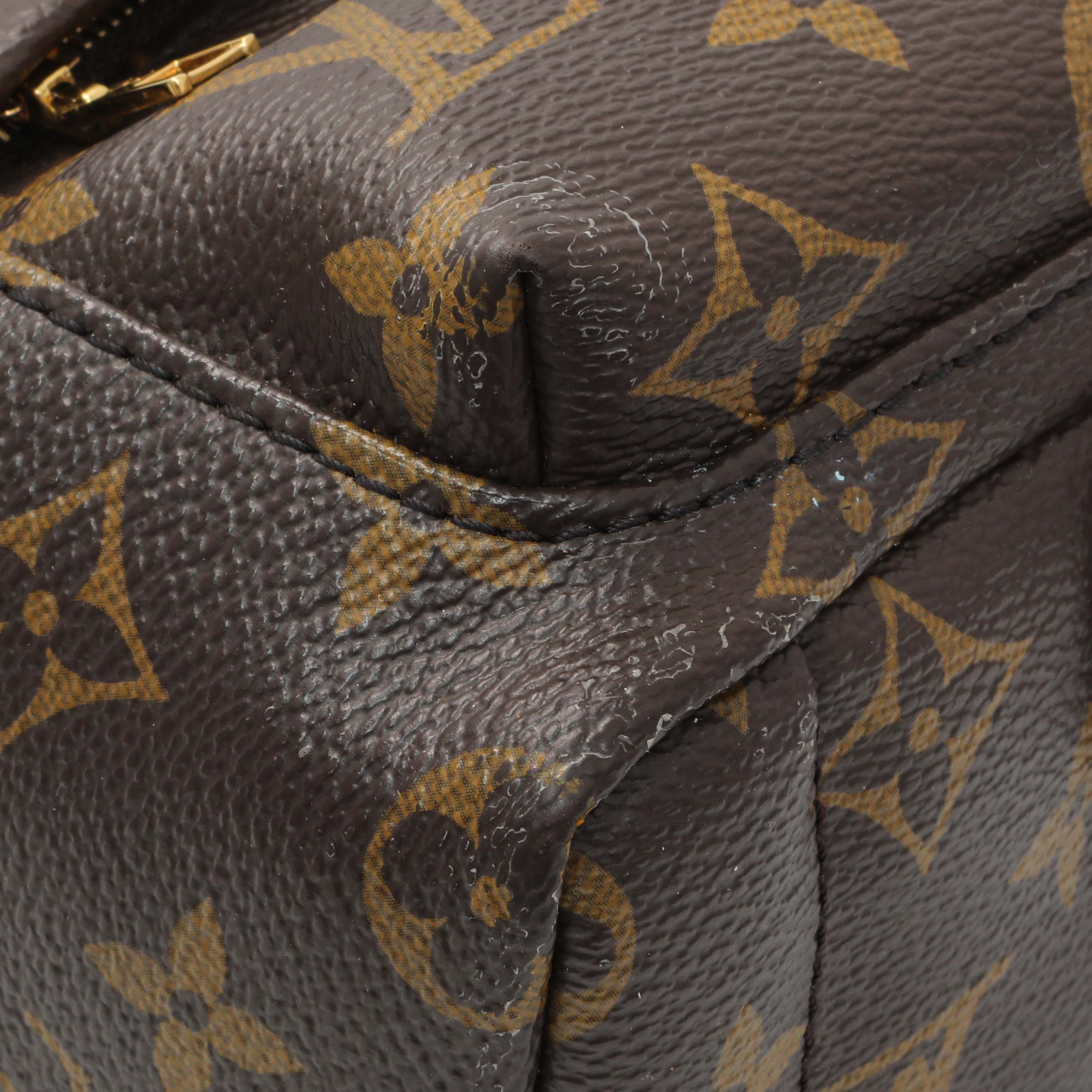 Louis Vuitton Monogram Palm Springs Mini - Image 4