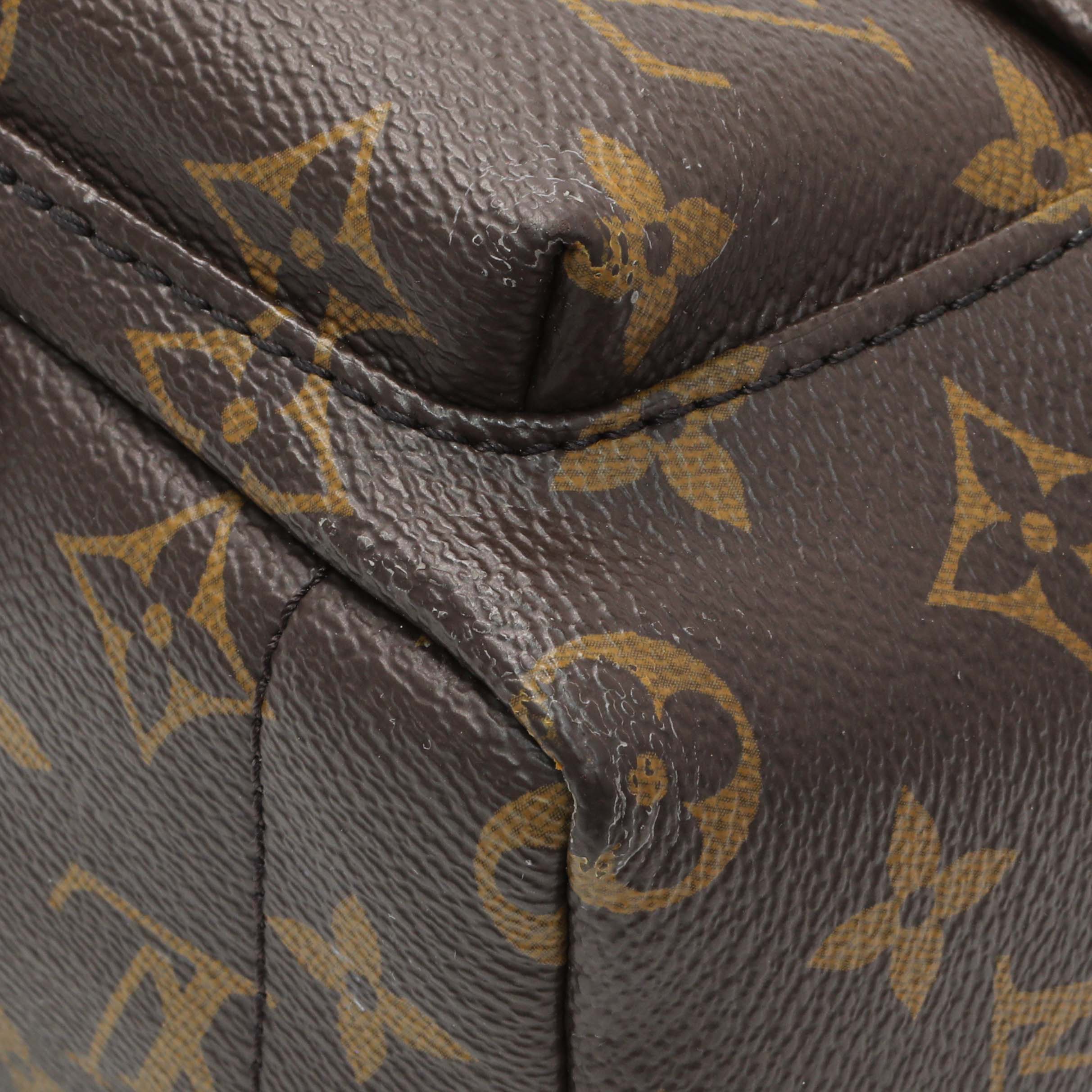 Louis Vuitton Monogram Palm Springs Mini - Image 5