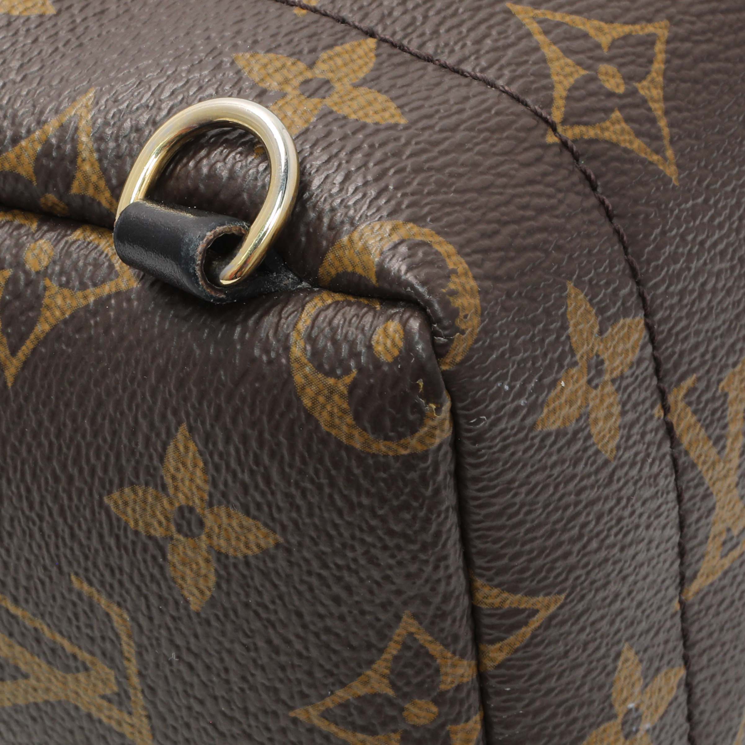 Louis Vuitton Monogram Palm Springs Mini - Image 6