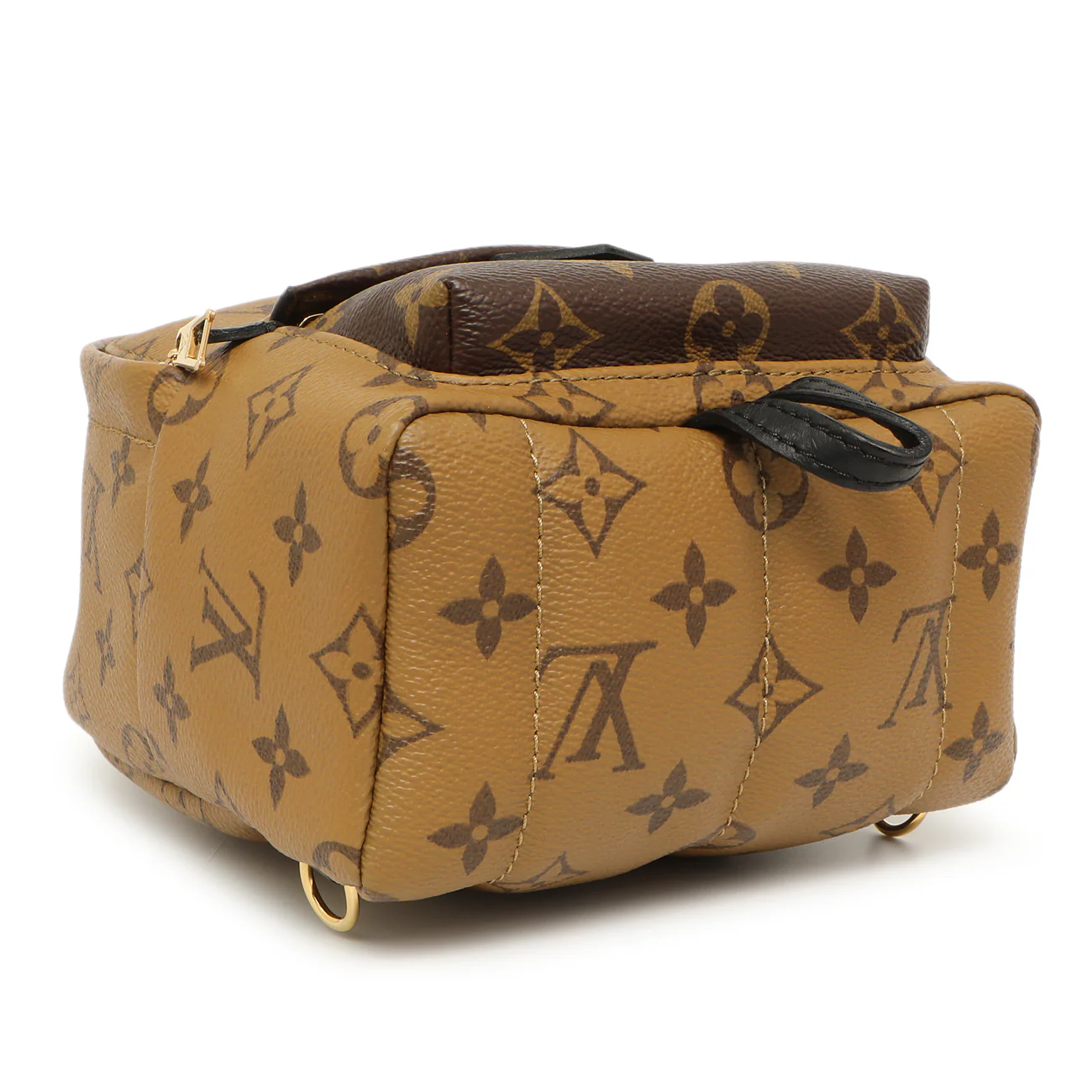 Louis Vuitton Monogram Reverse Palm Springs Backpack Mini - Image 3